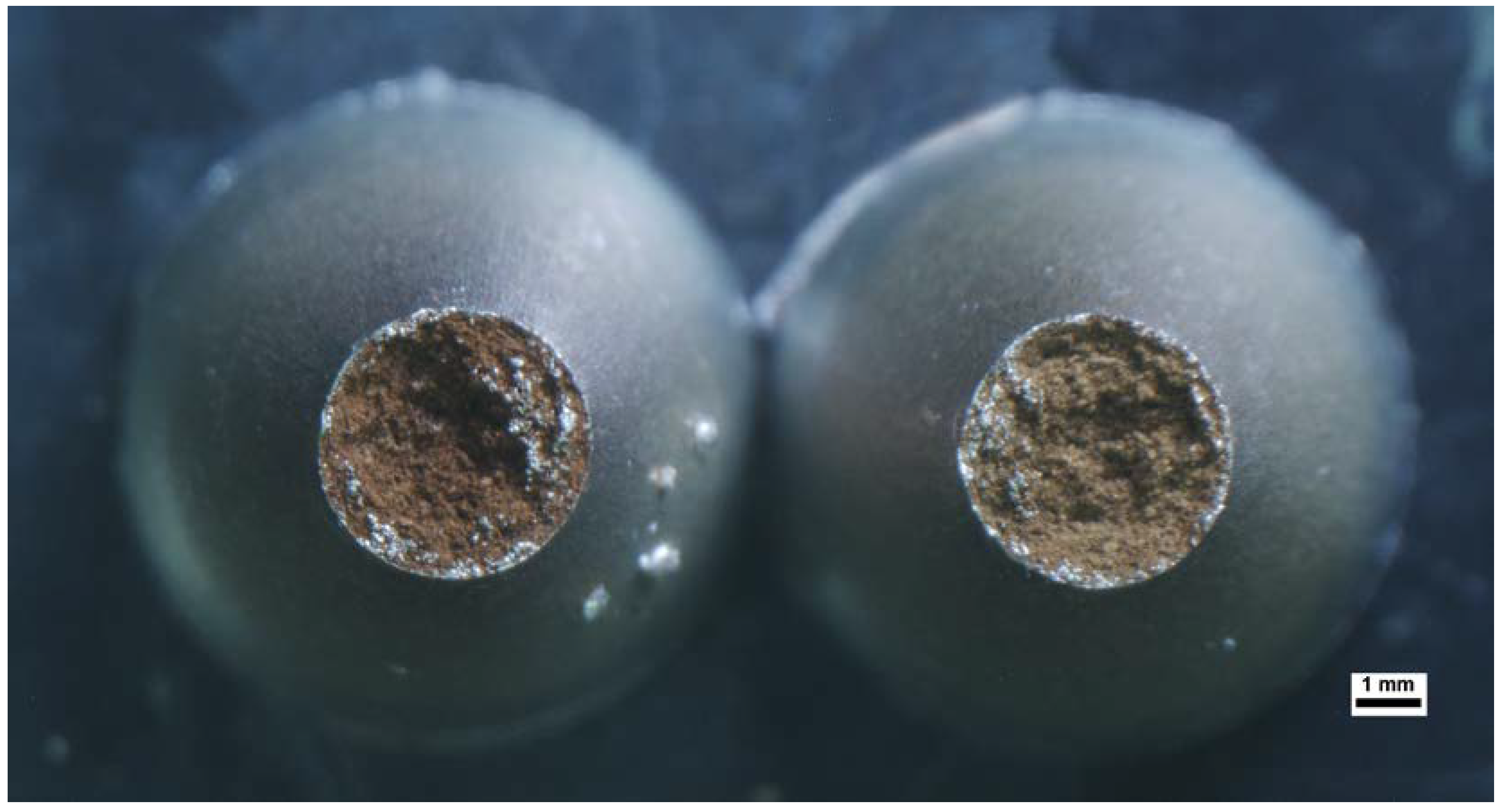 Metals 13 01633 g008