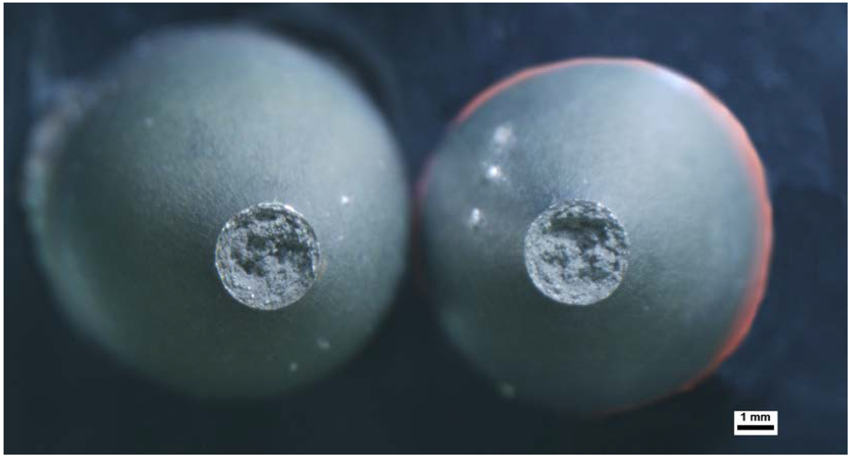 Metals 13 01633 g010