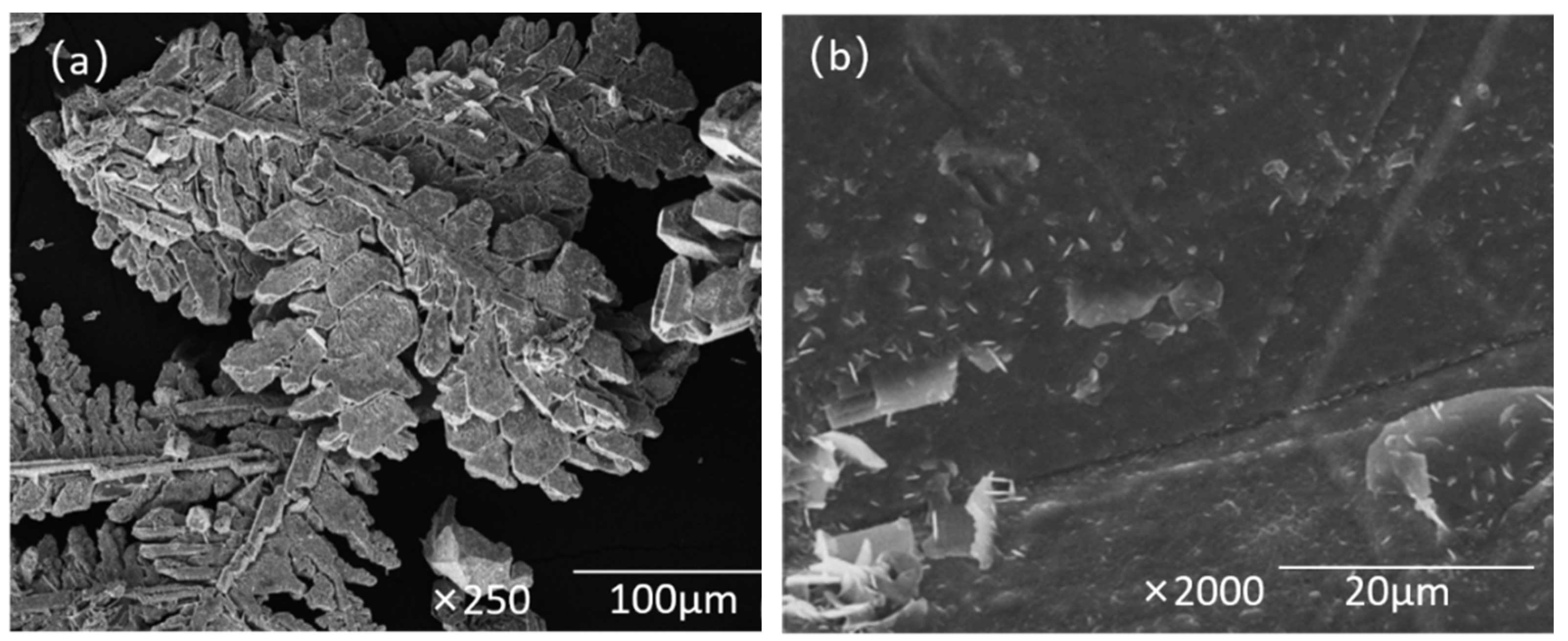 Metals 13 01643 g023