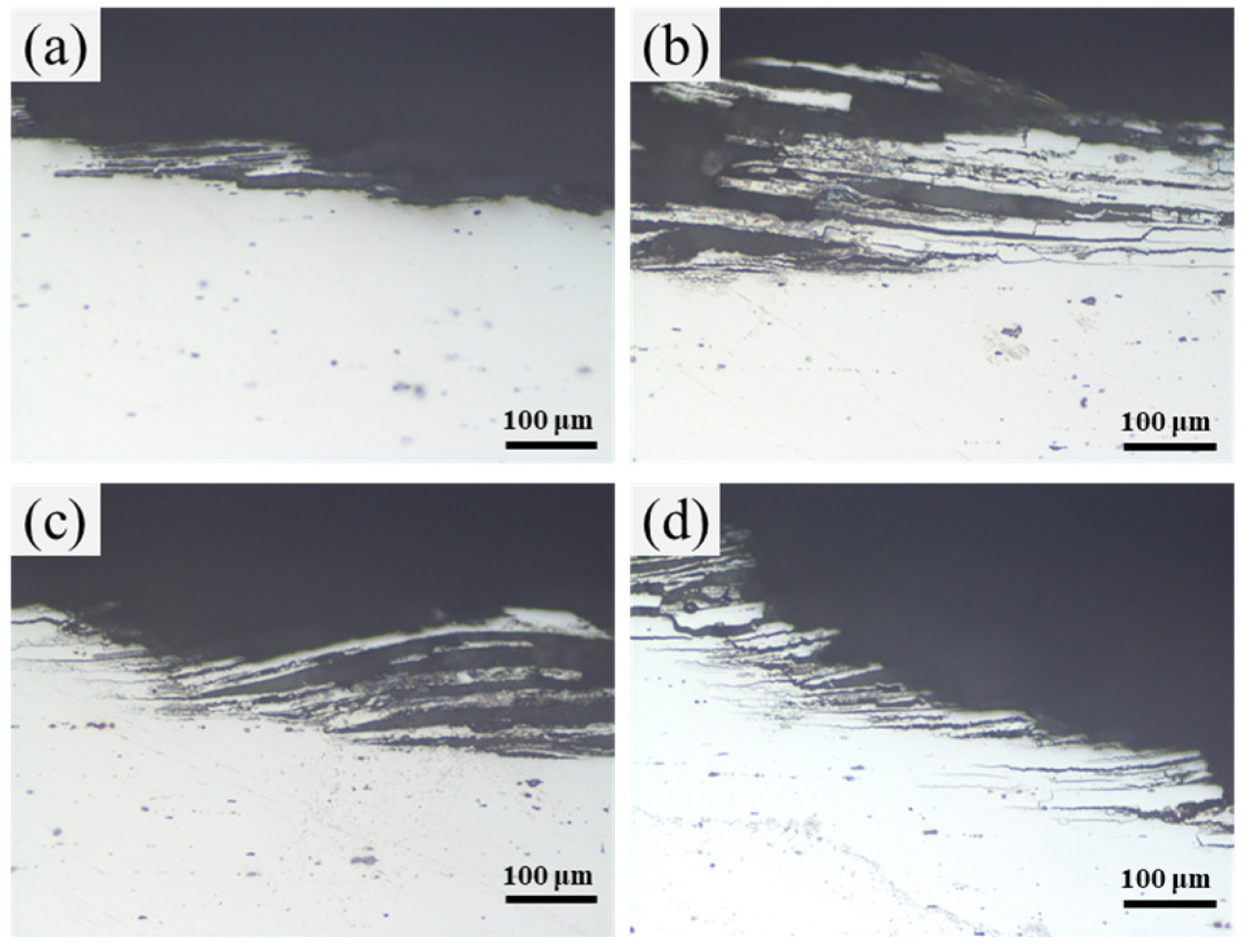 Metals 13 01656 g005