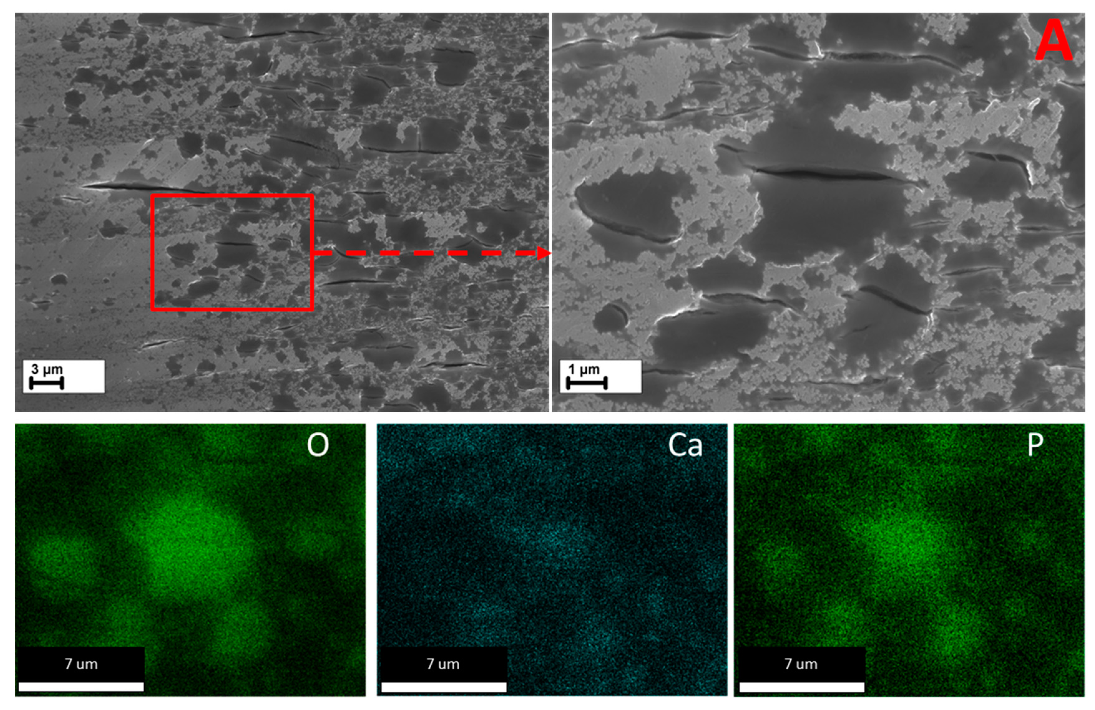 Metals 13 01660 g012