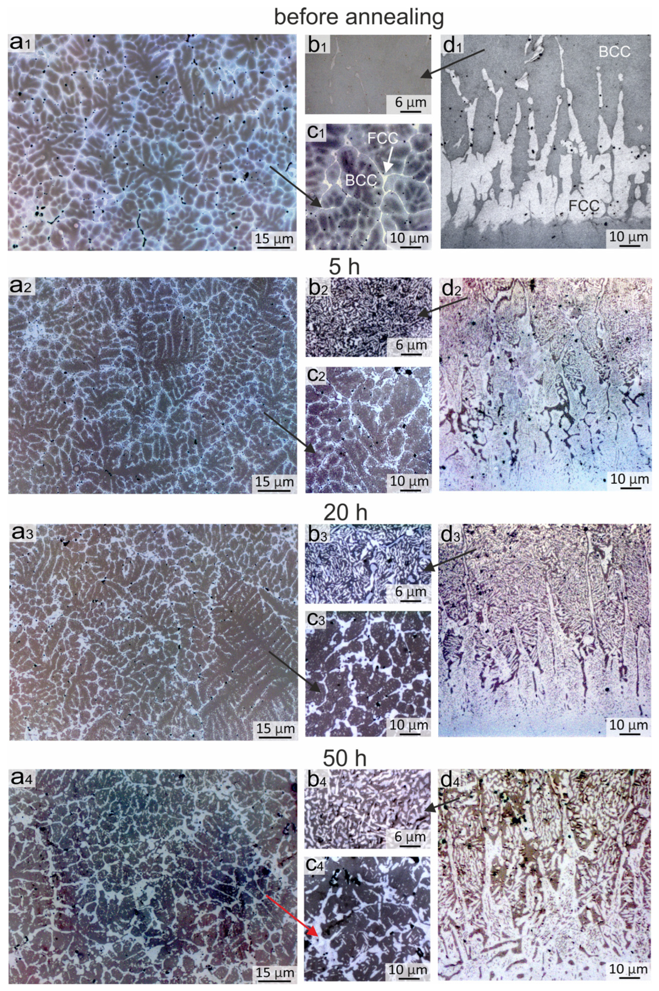 Metals 13 01689 g003