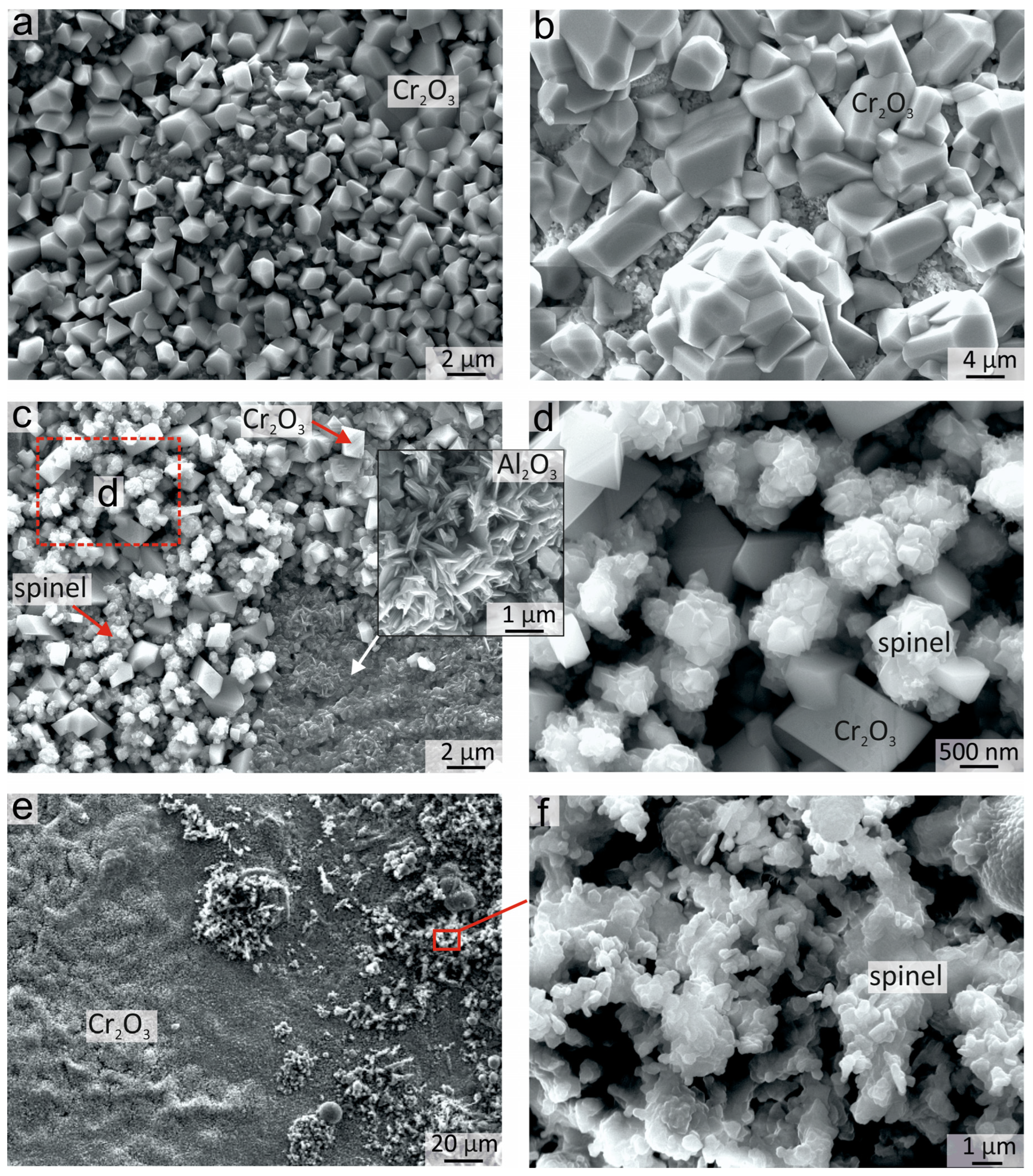 Metals 13 01689 g008