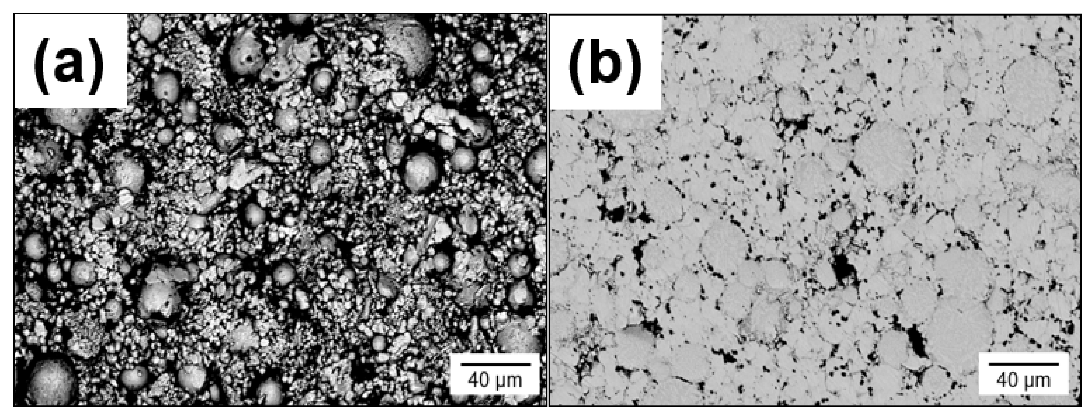 Metals 13 01715 g003a