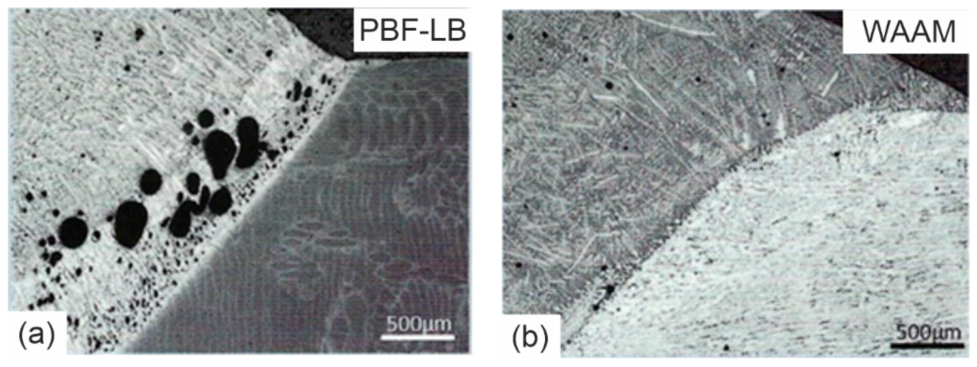 Metals 13 01724 g009