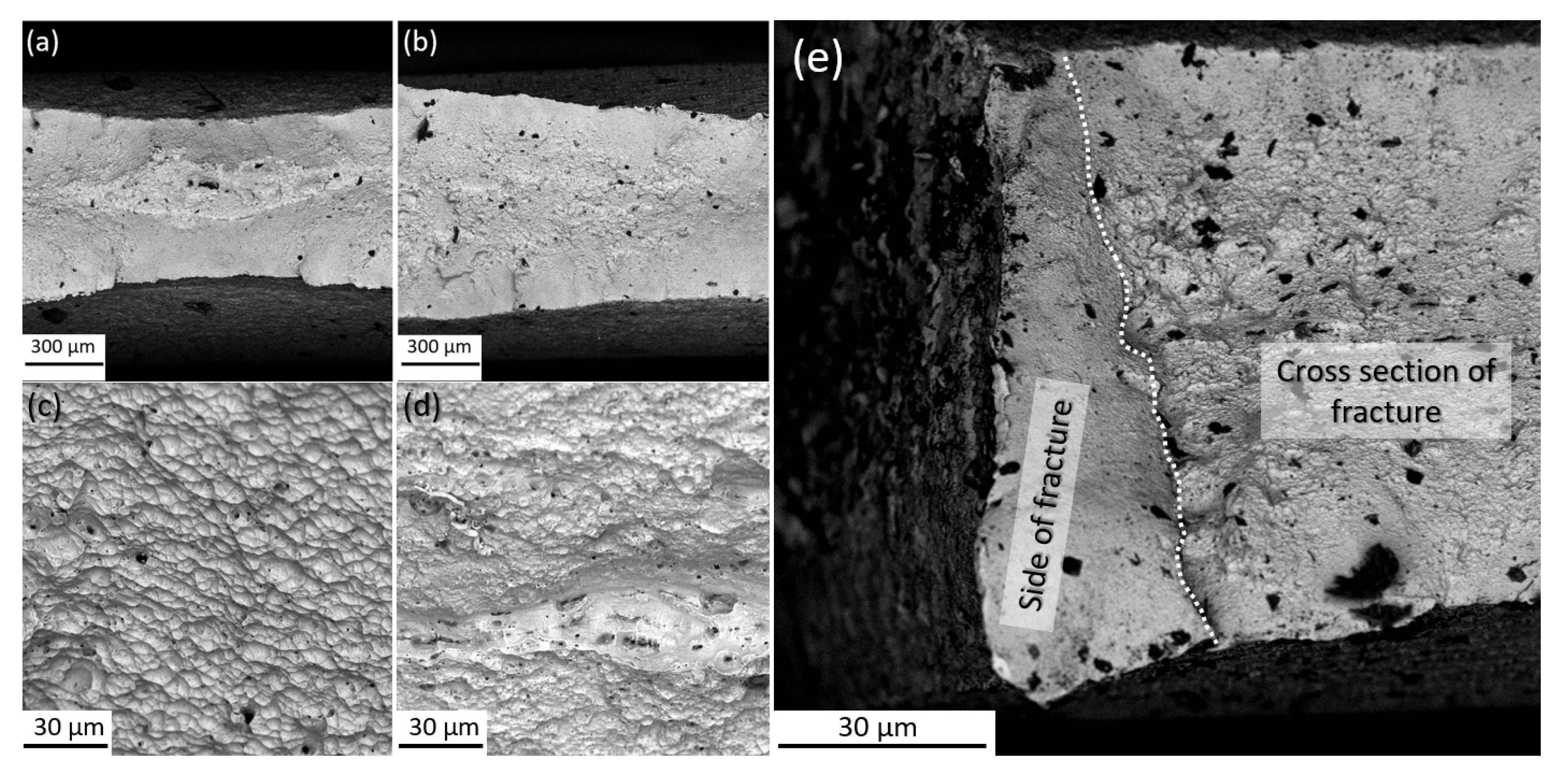 Metals 13 01789 g008