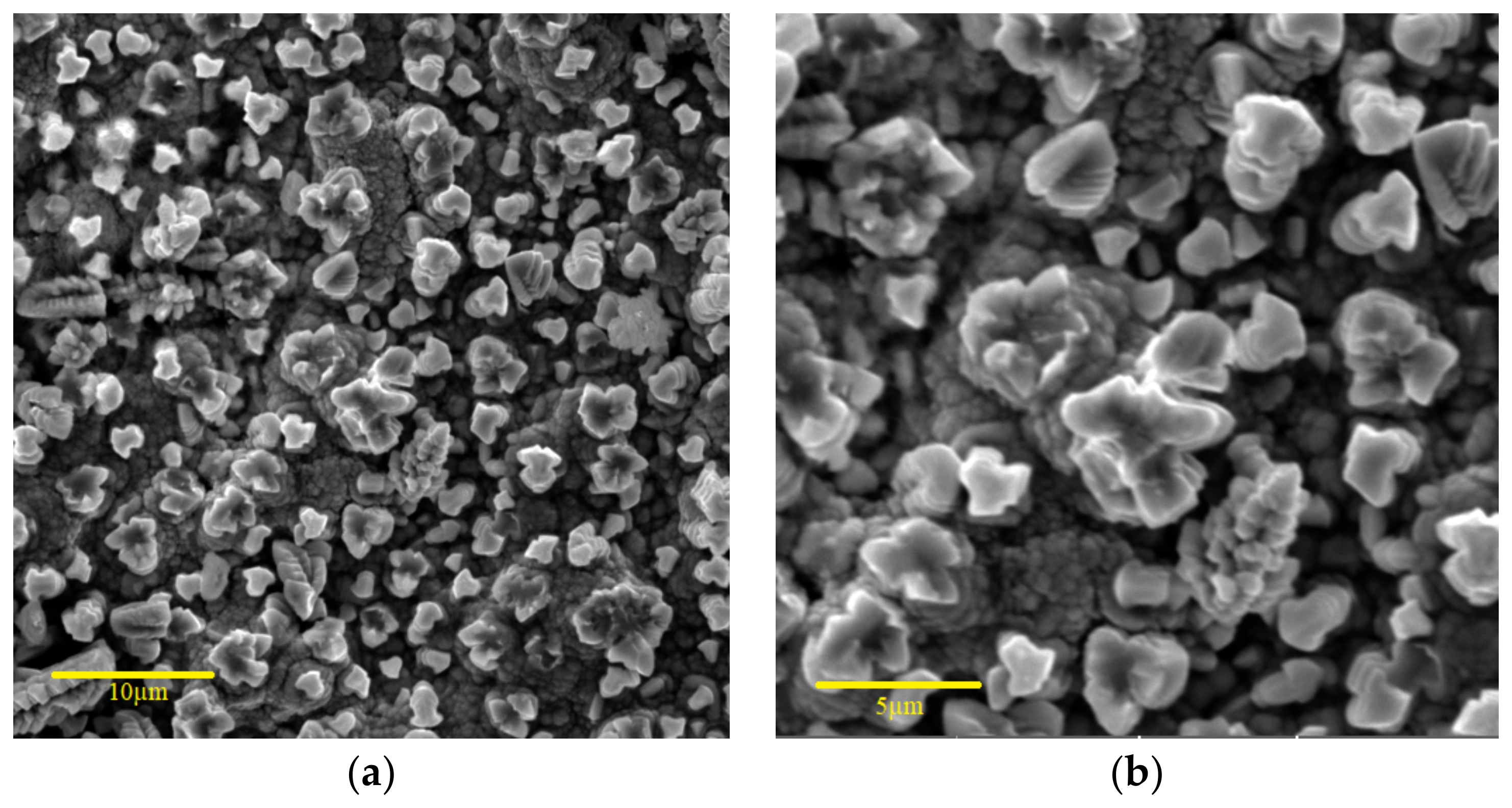 Metals 13 01808 g005