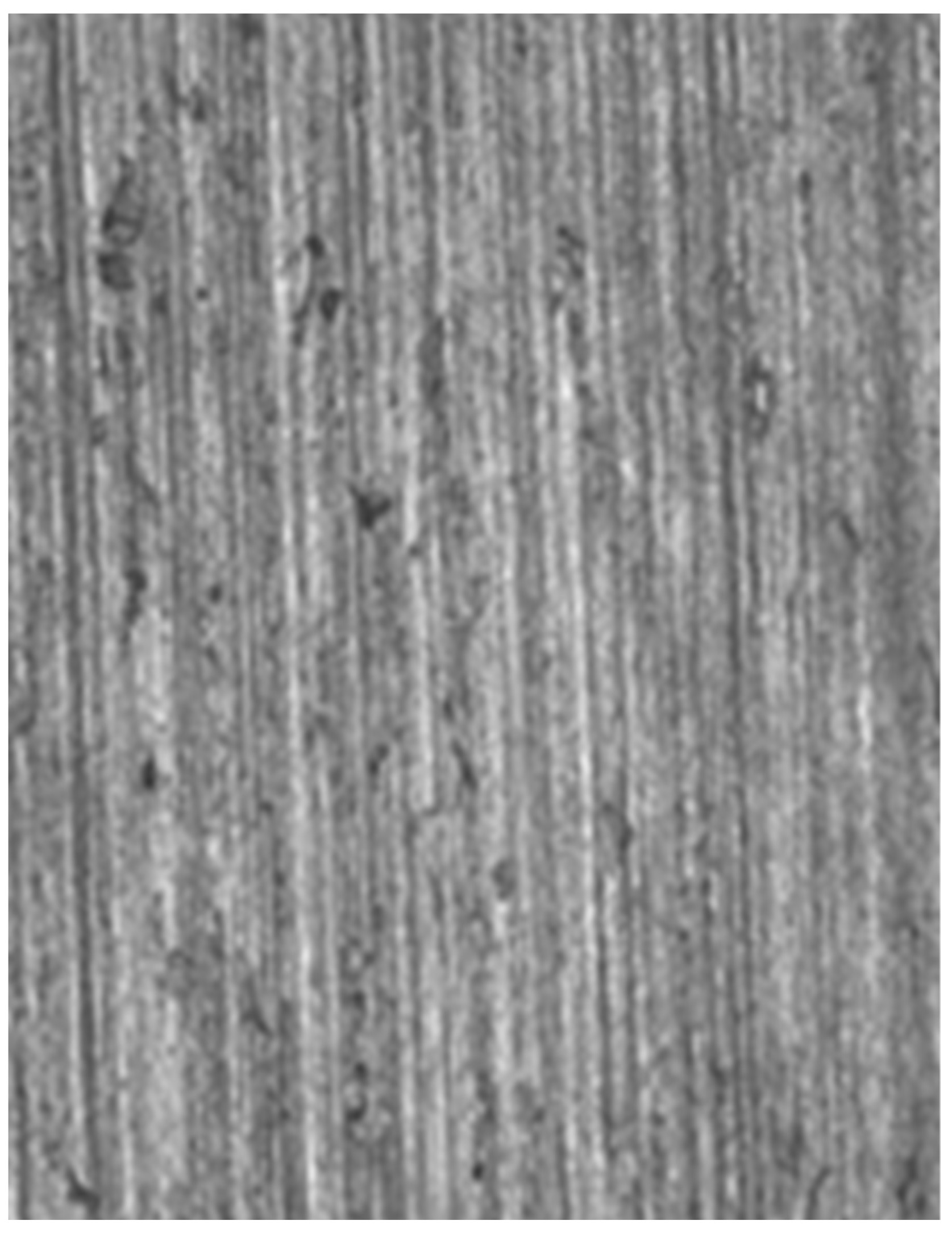 Metals 13 01825 g007