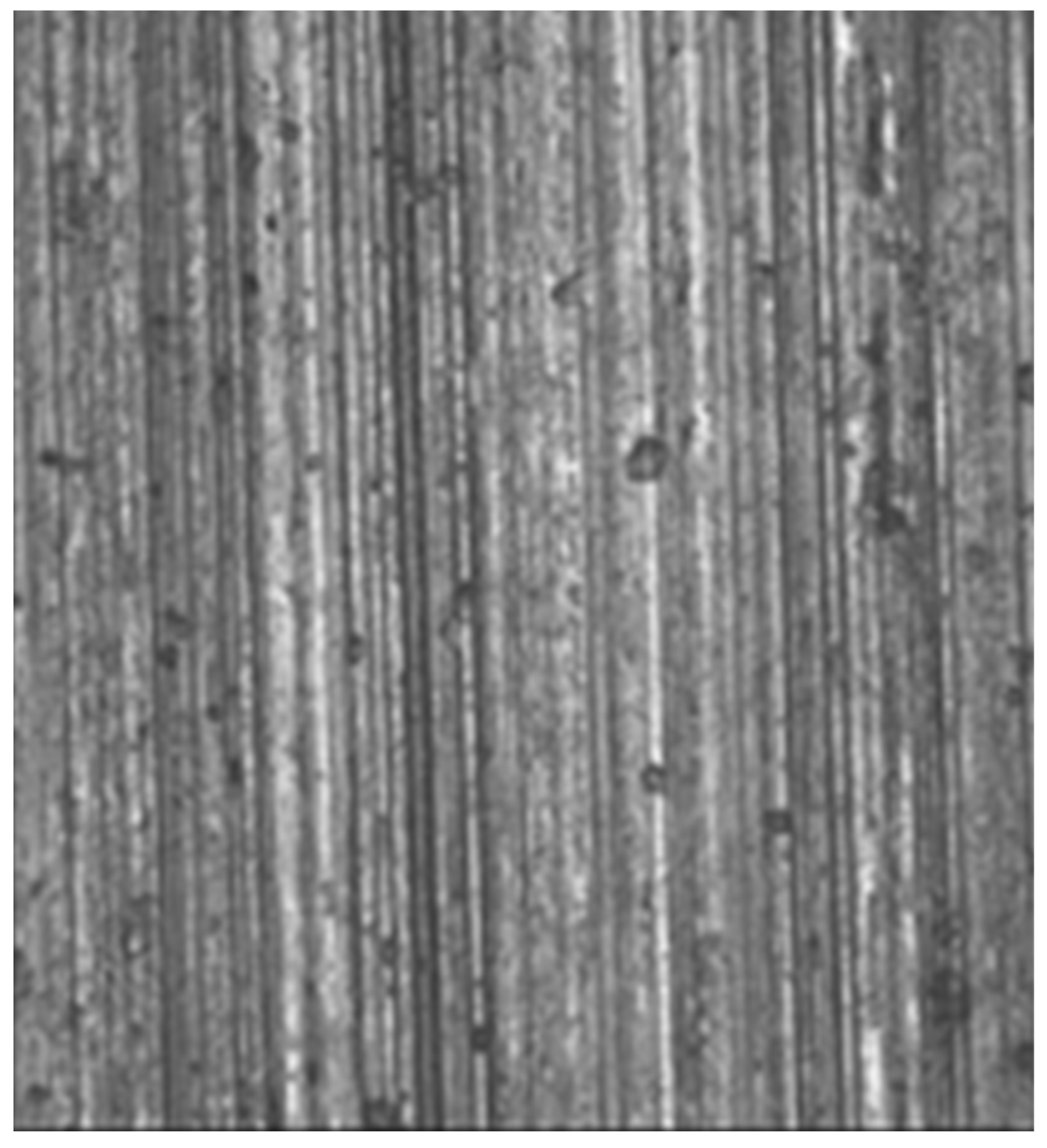 Metals 13 01825 g009