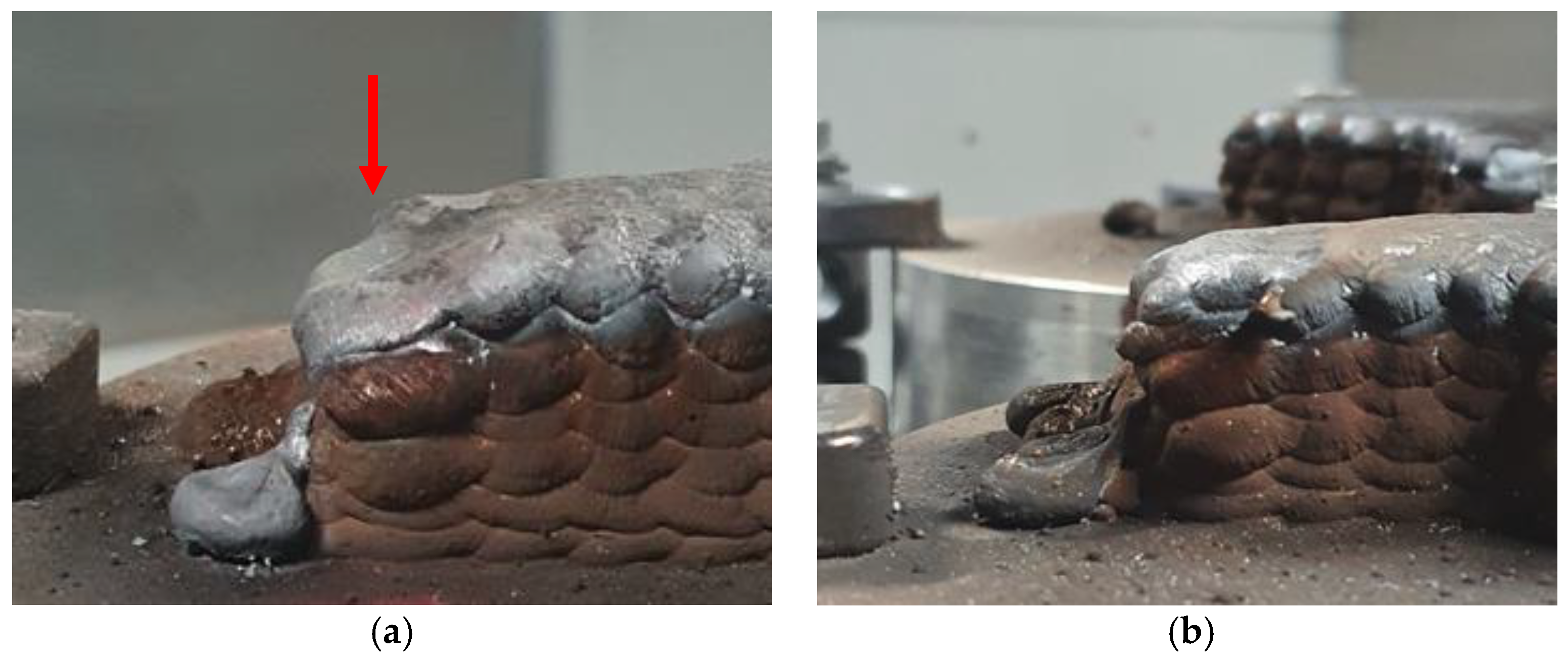 Metals 13 01842 g011