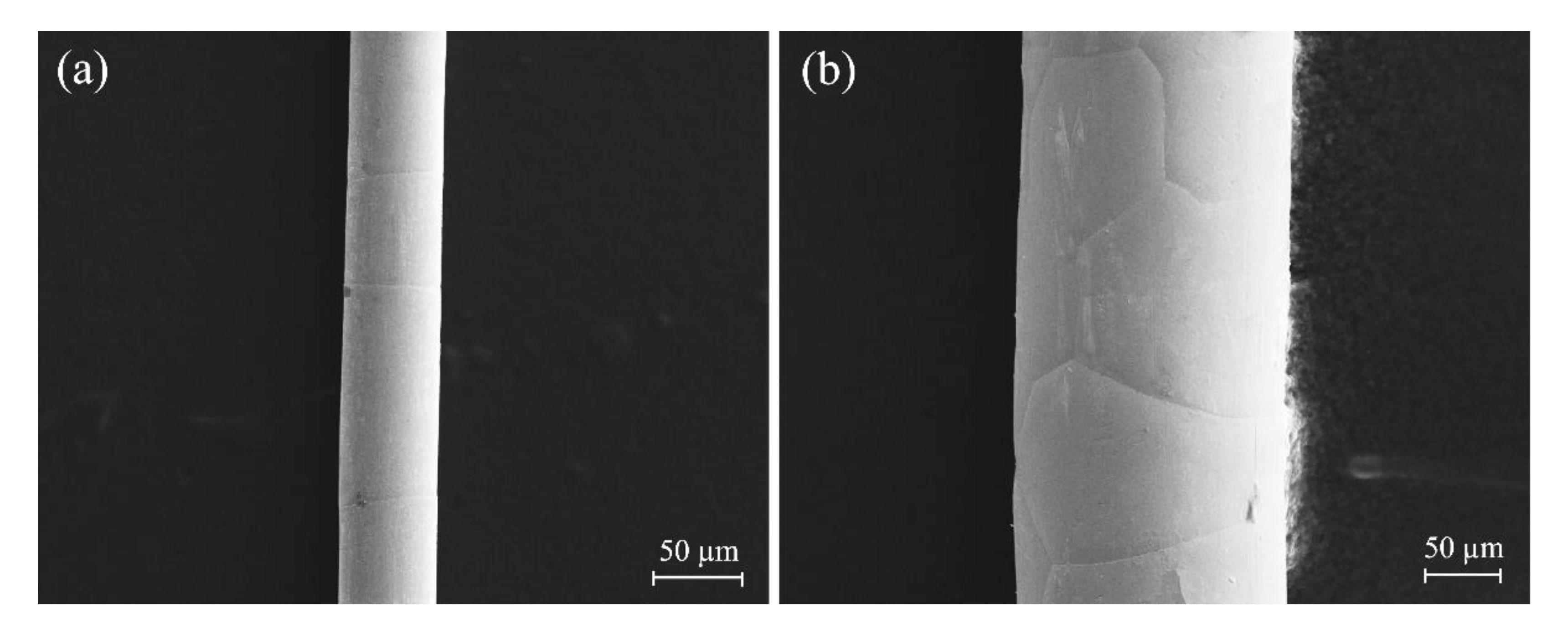 Metals 13 01852 g010