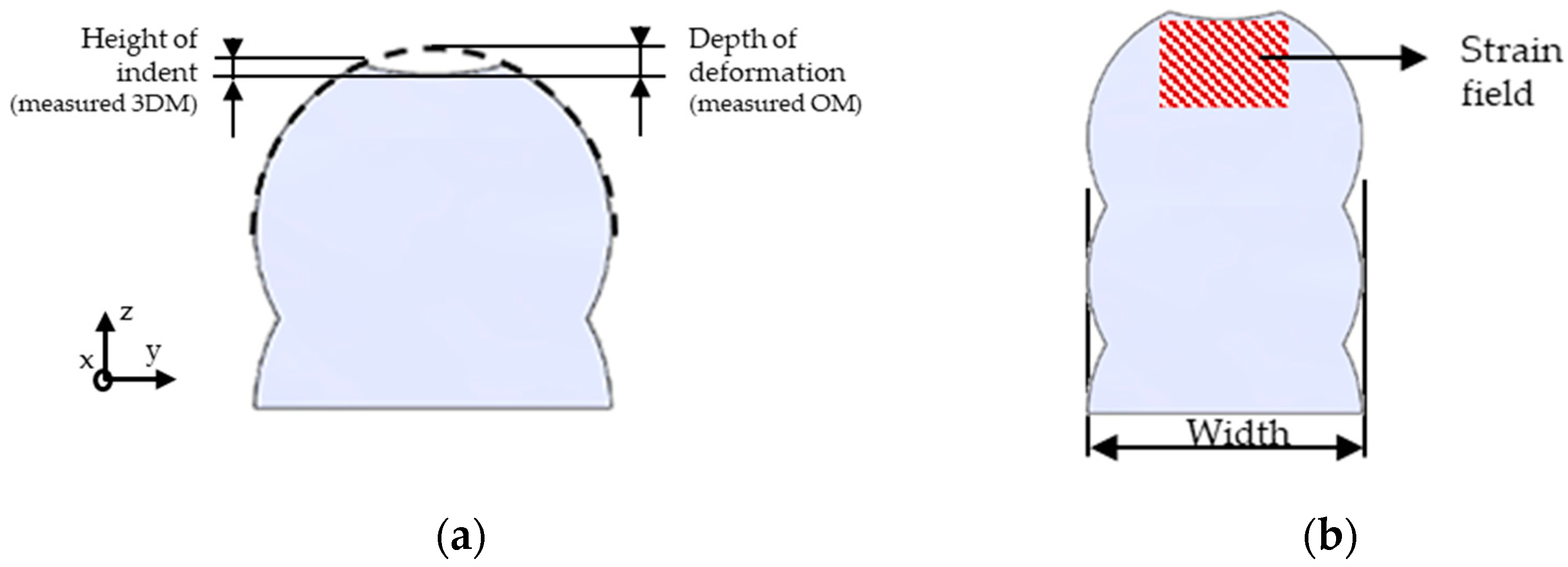 Metals 13 01888 g004