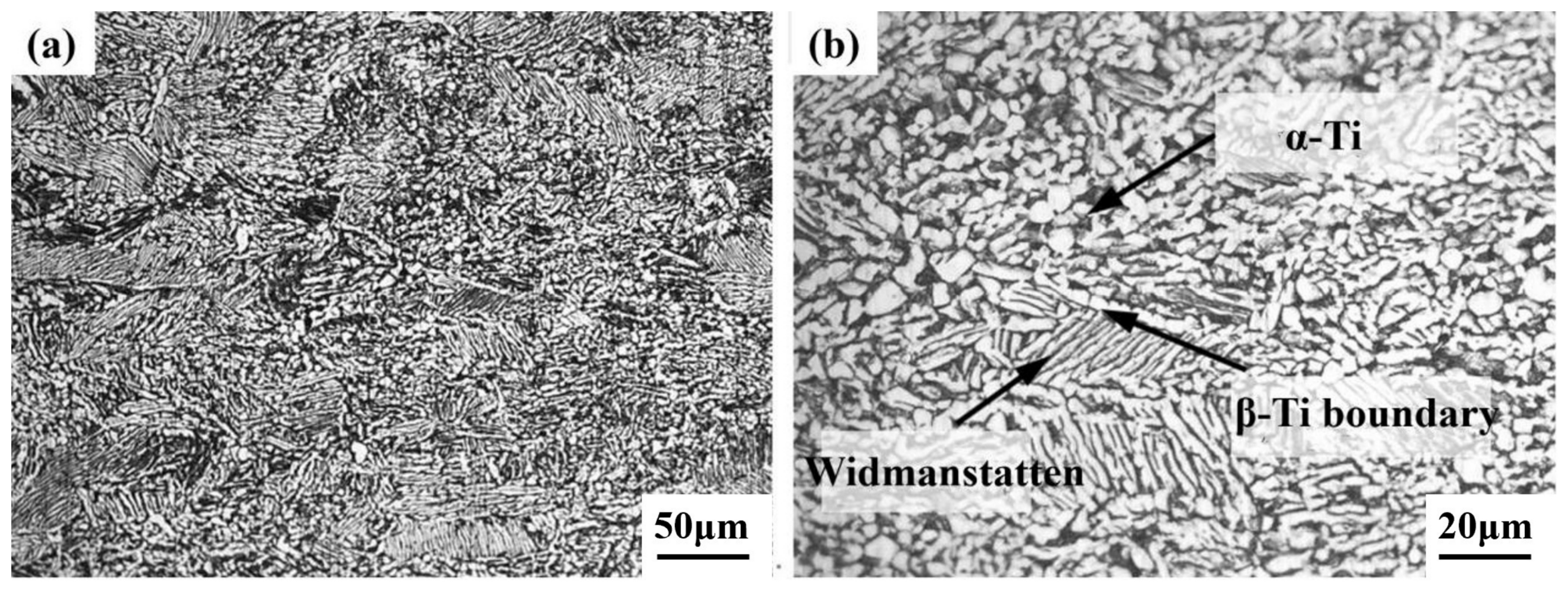 Metals 13 01893 g018