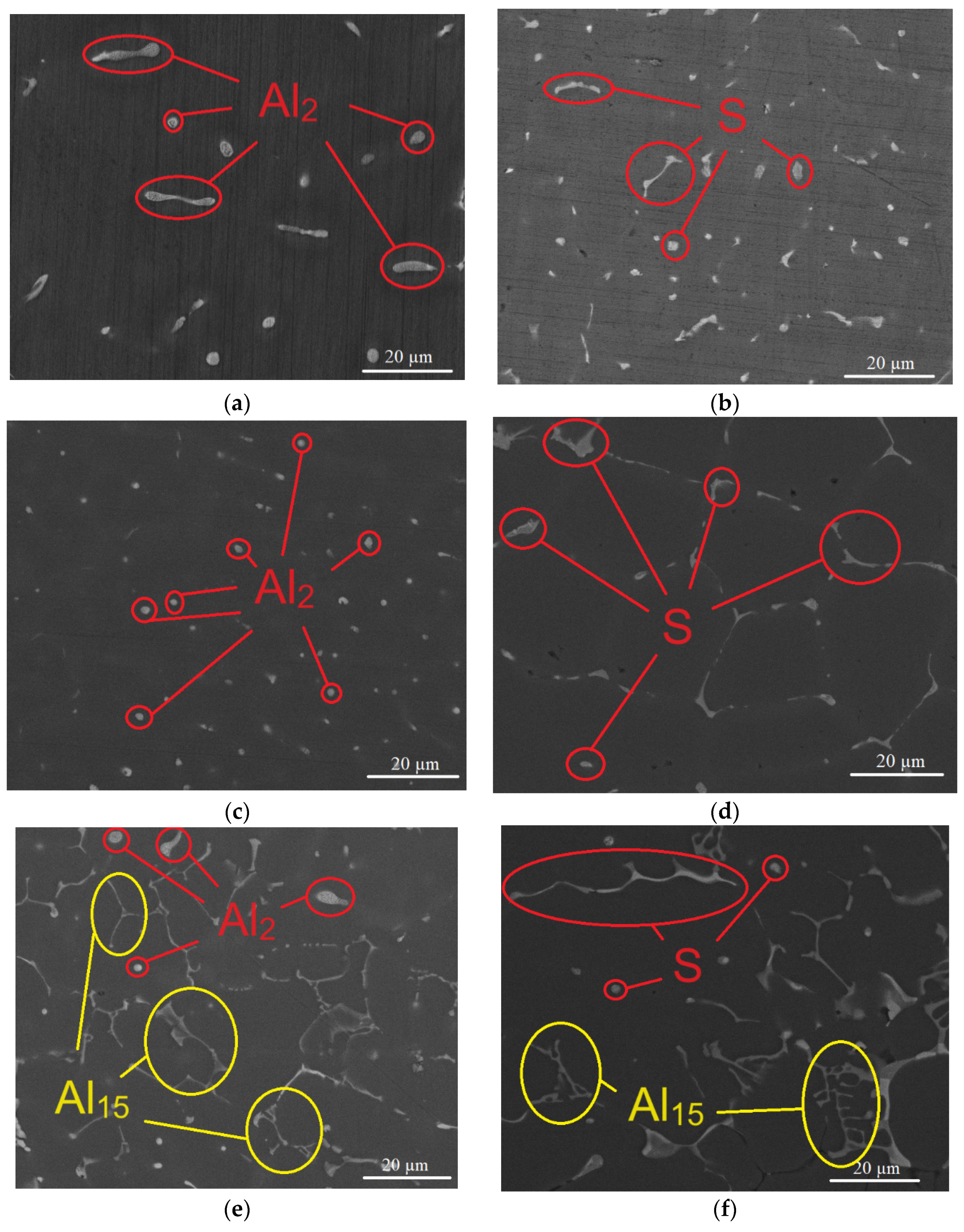Metals 13 01911 g002a