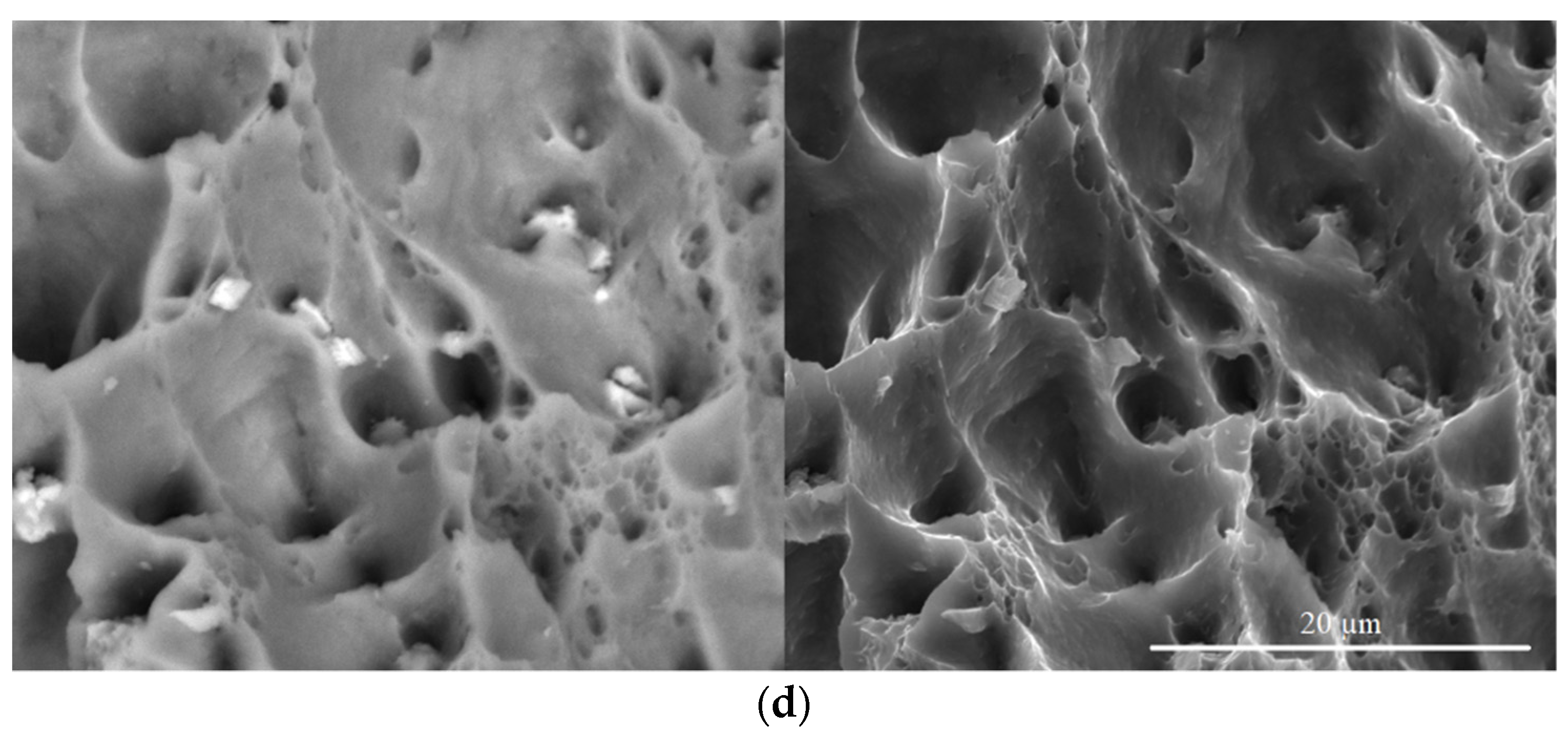 Metals 13 01911 g006b