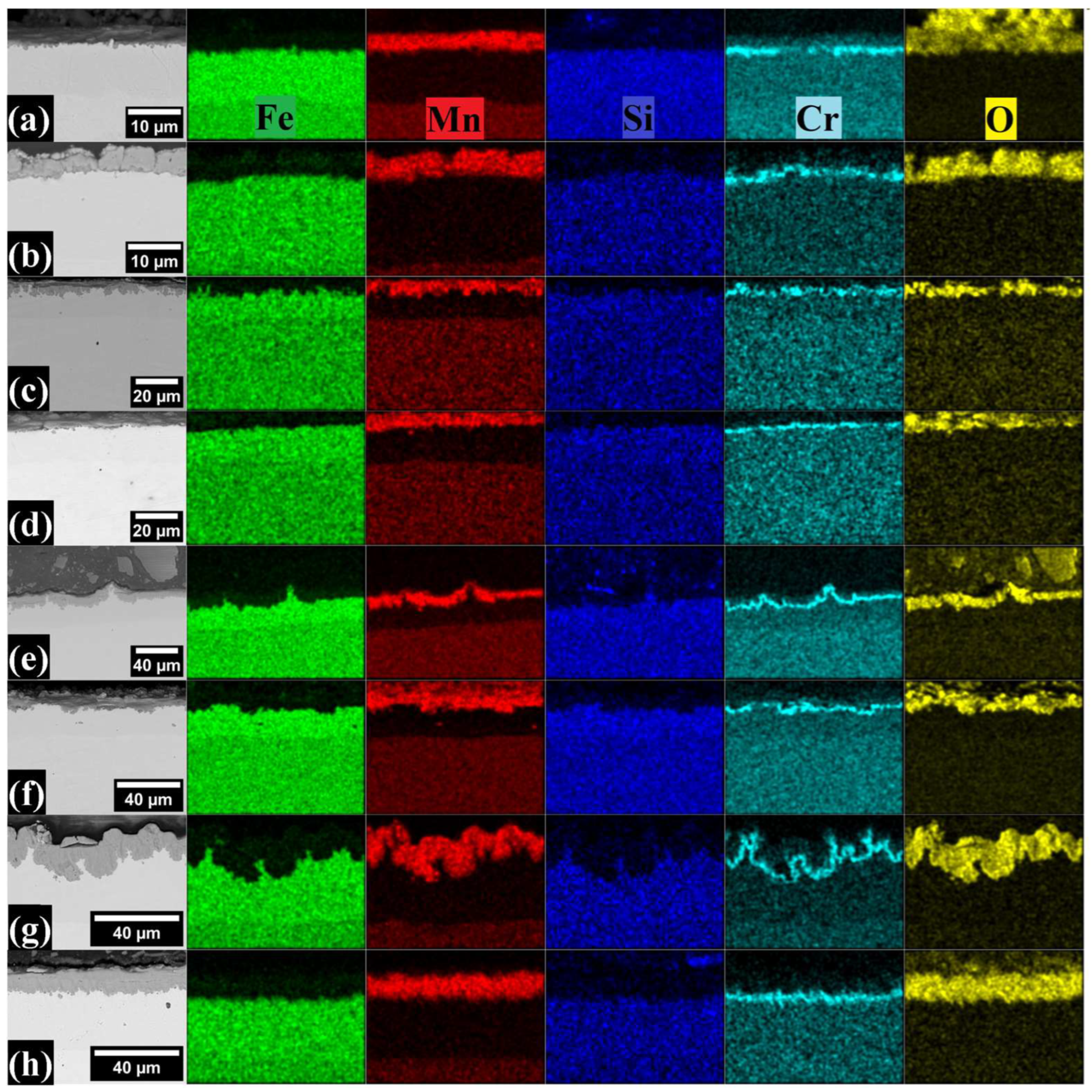 Metals 13 01928 g005