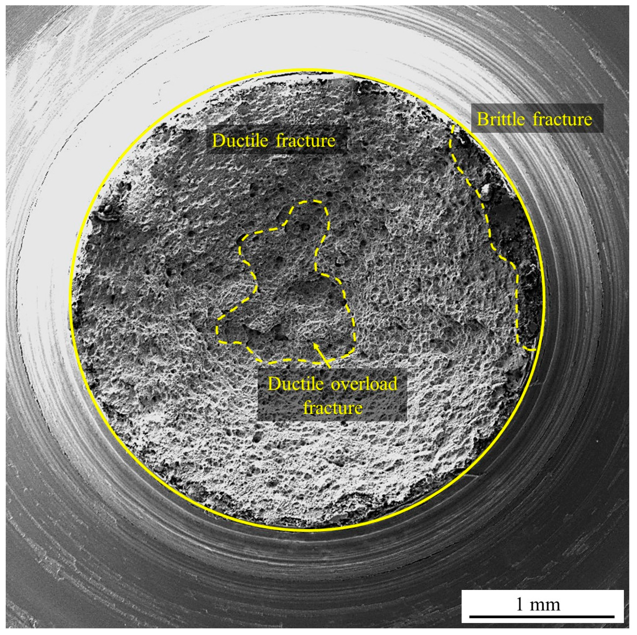 Metals 13 01932 g005