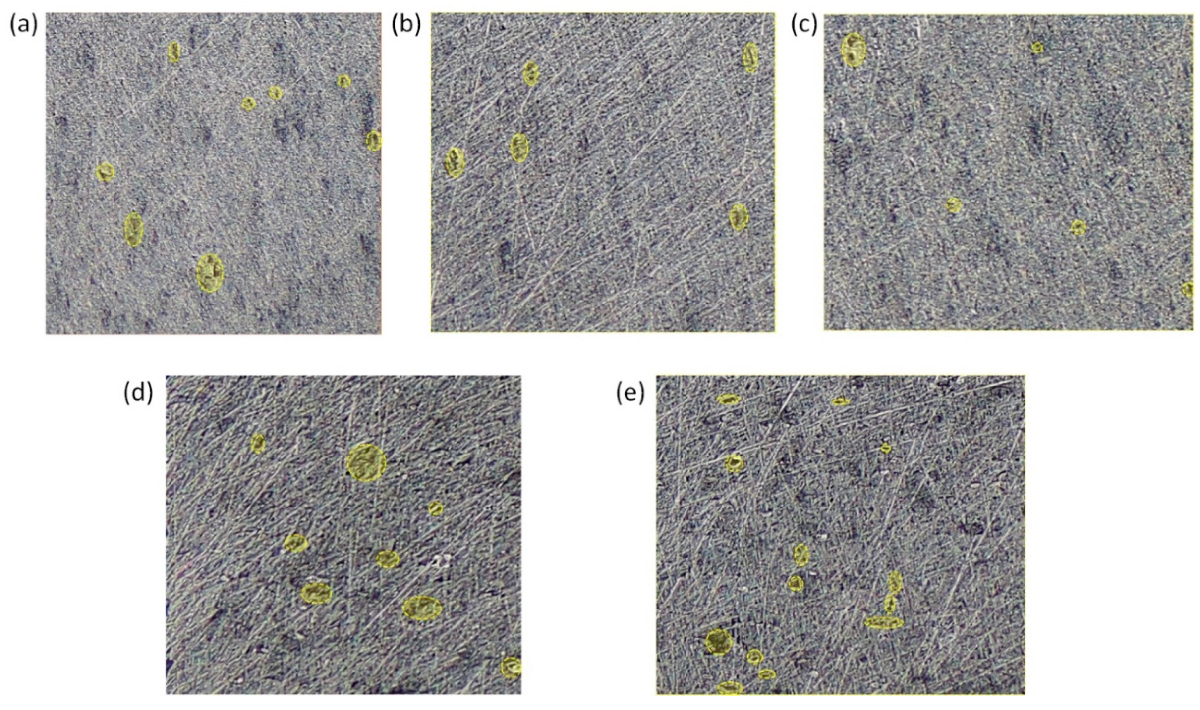 Metals 13 01971 g005