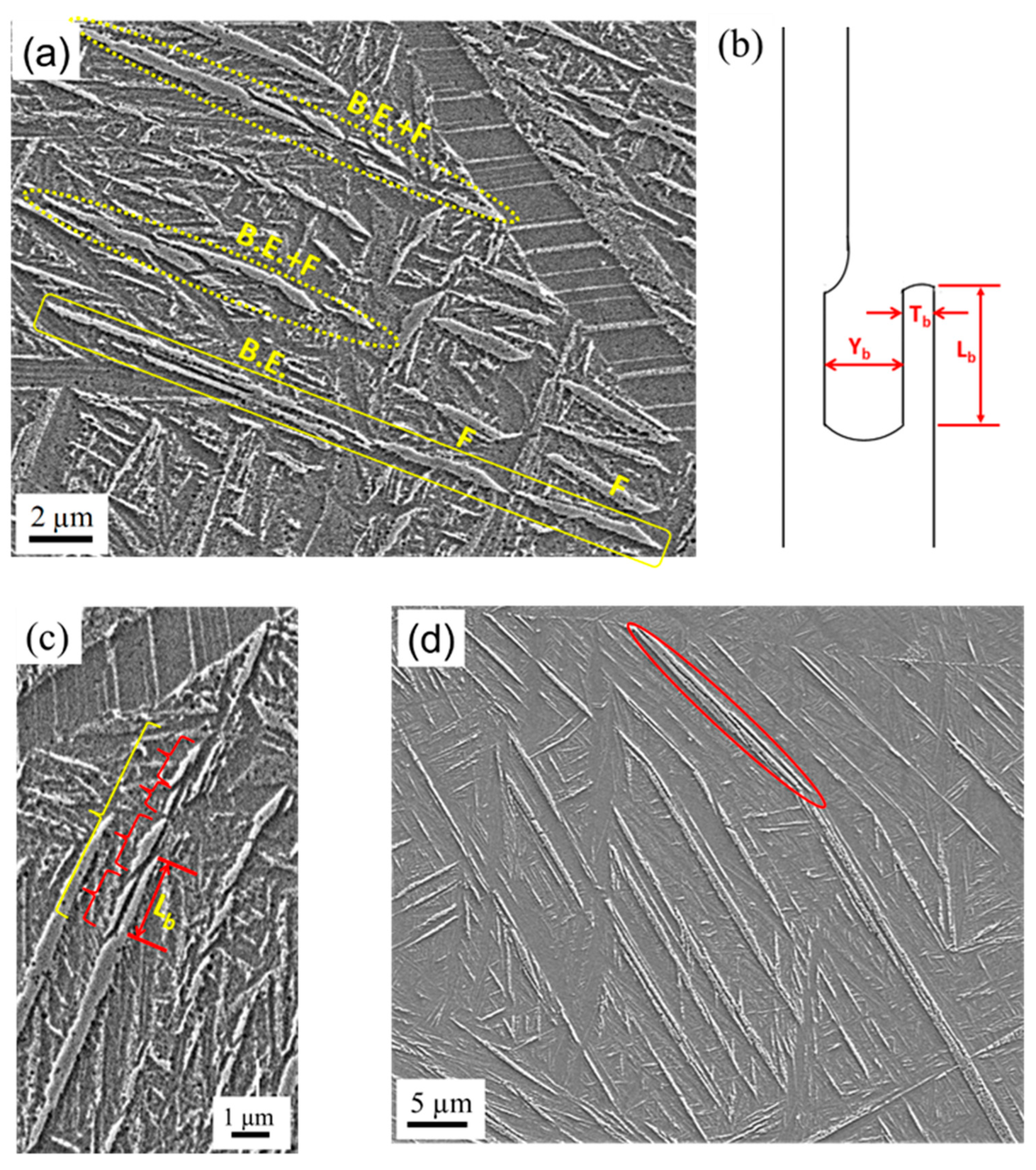 Metals 13 01983 g001