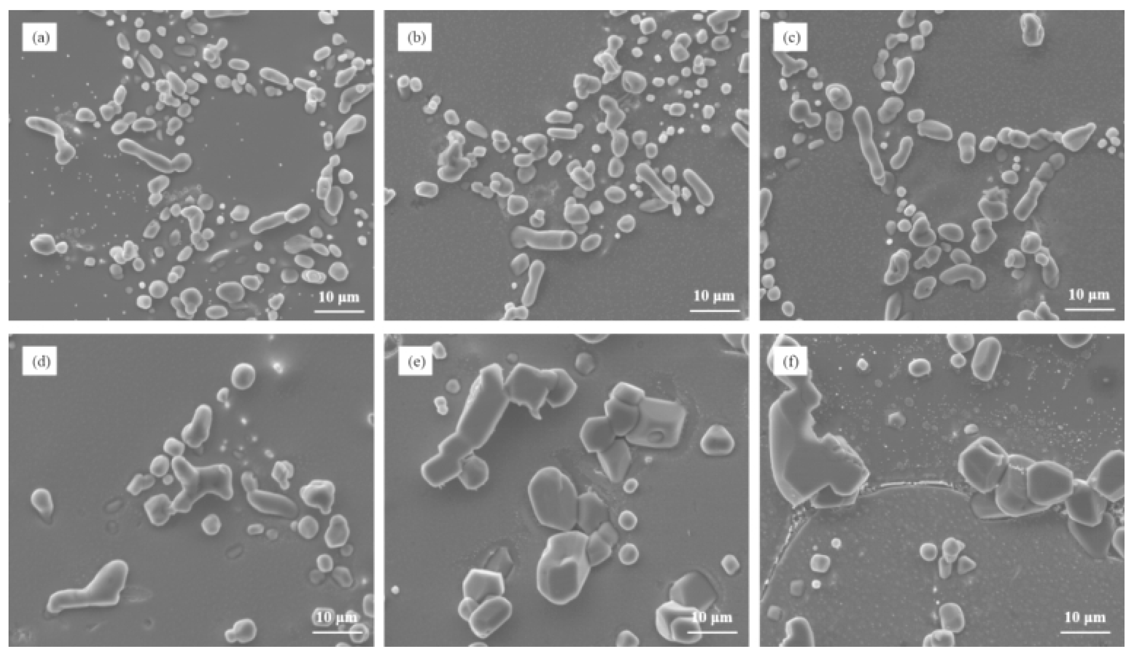 Metals 13 01995 g009