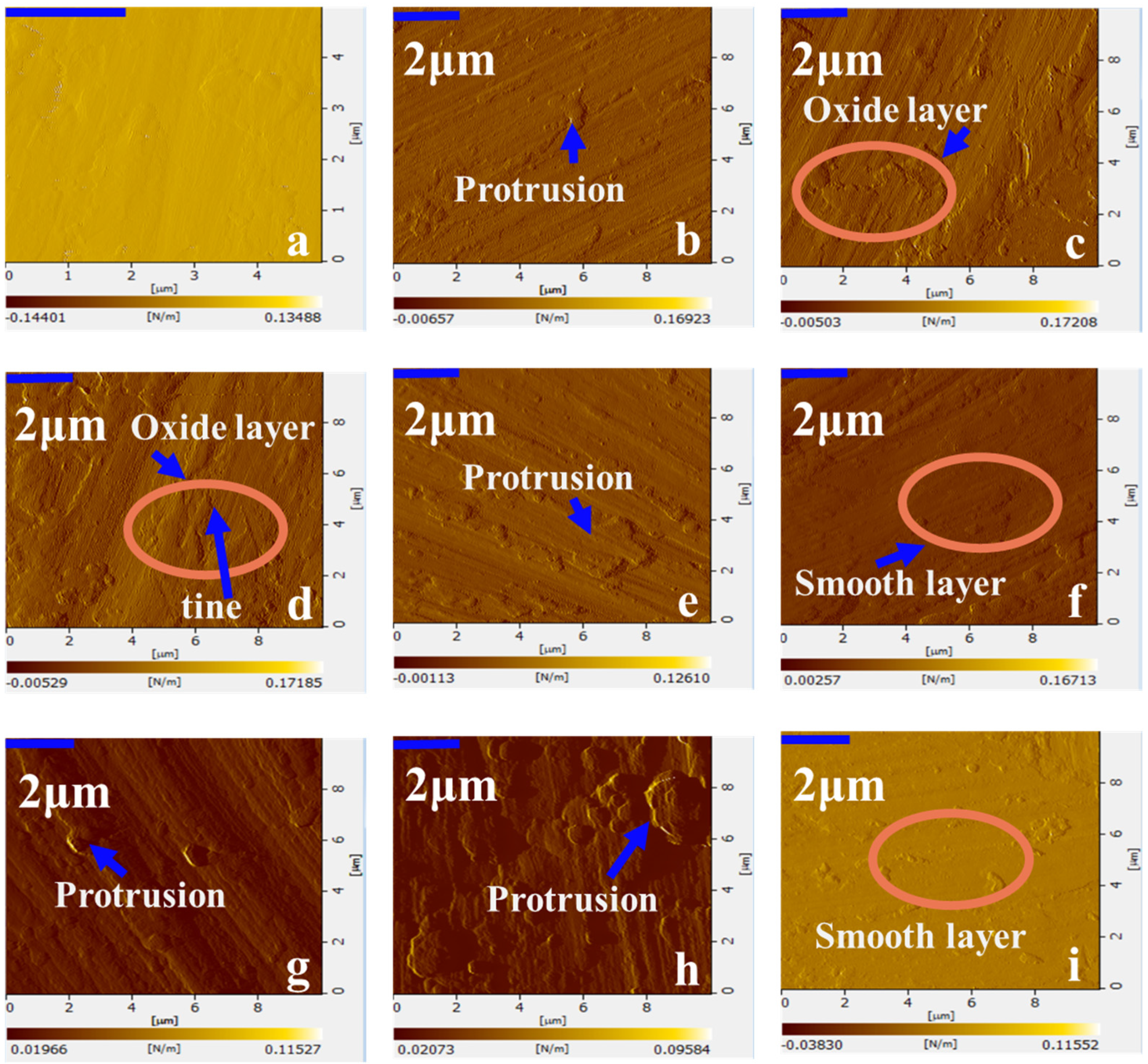 Metals 14 00003 g007
