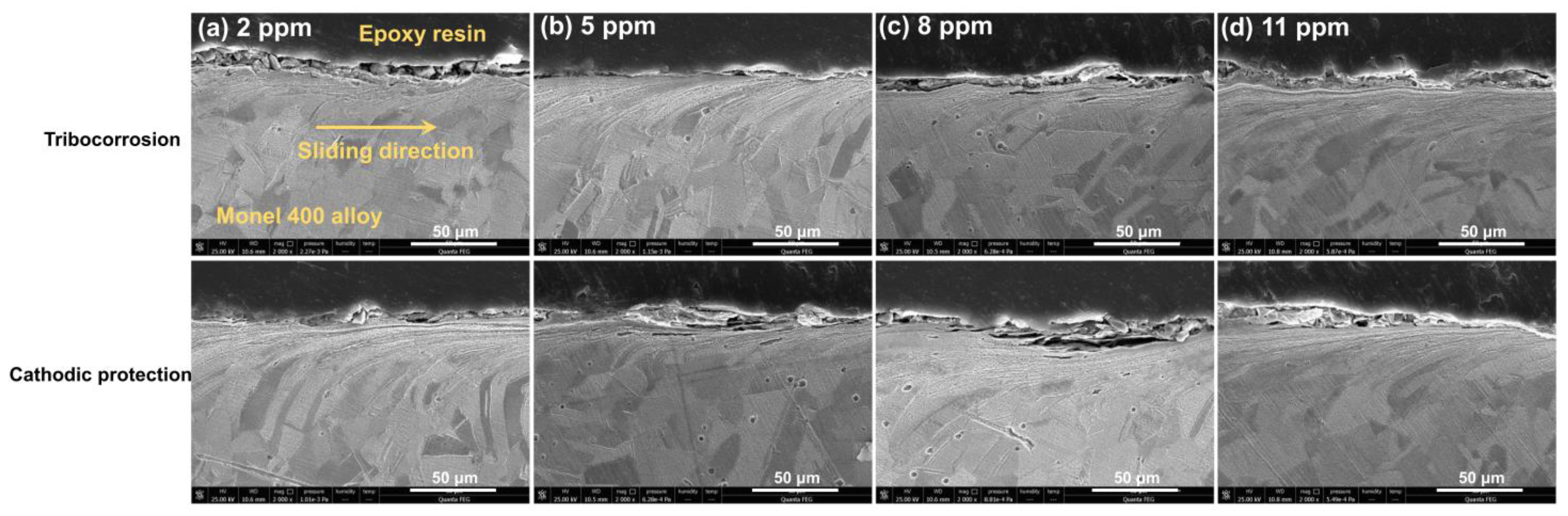 Metals 14 00006 g006