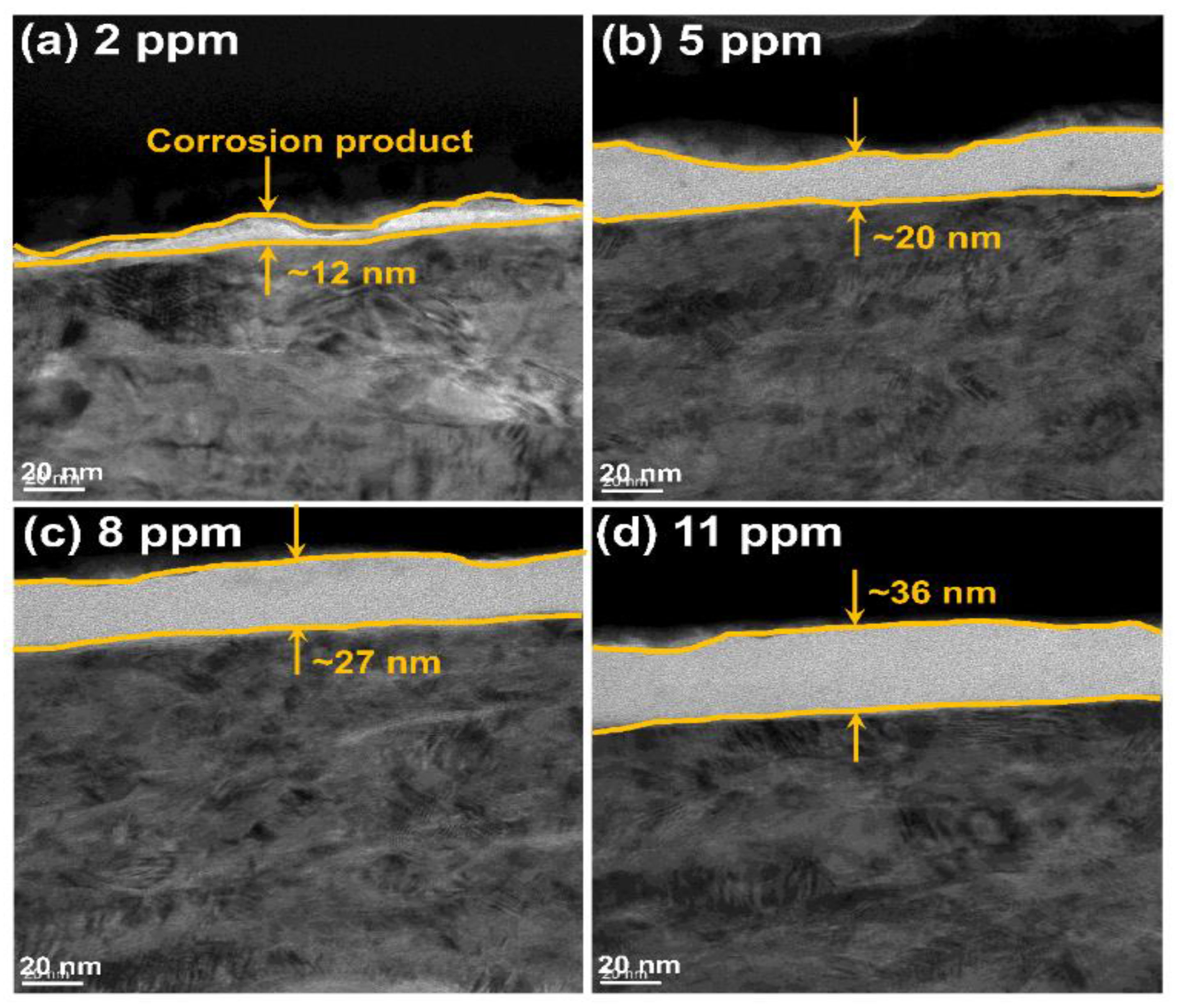 Metals 14 00006 g010