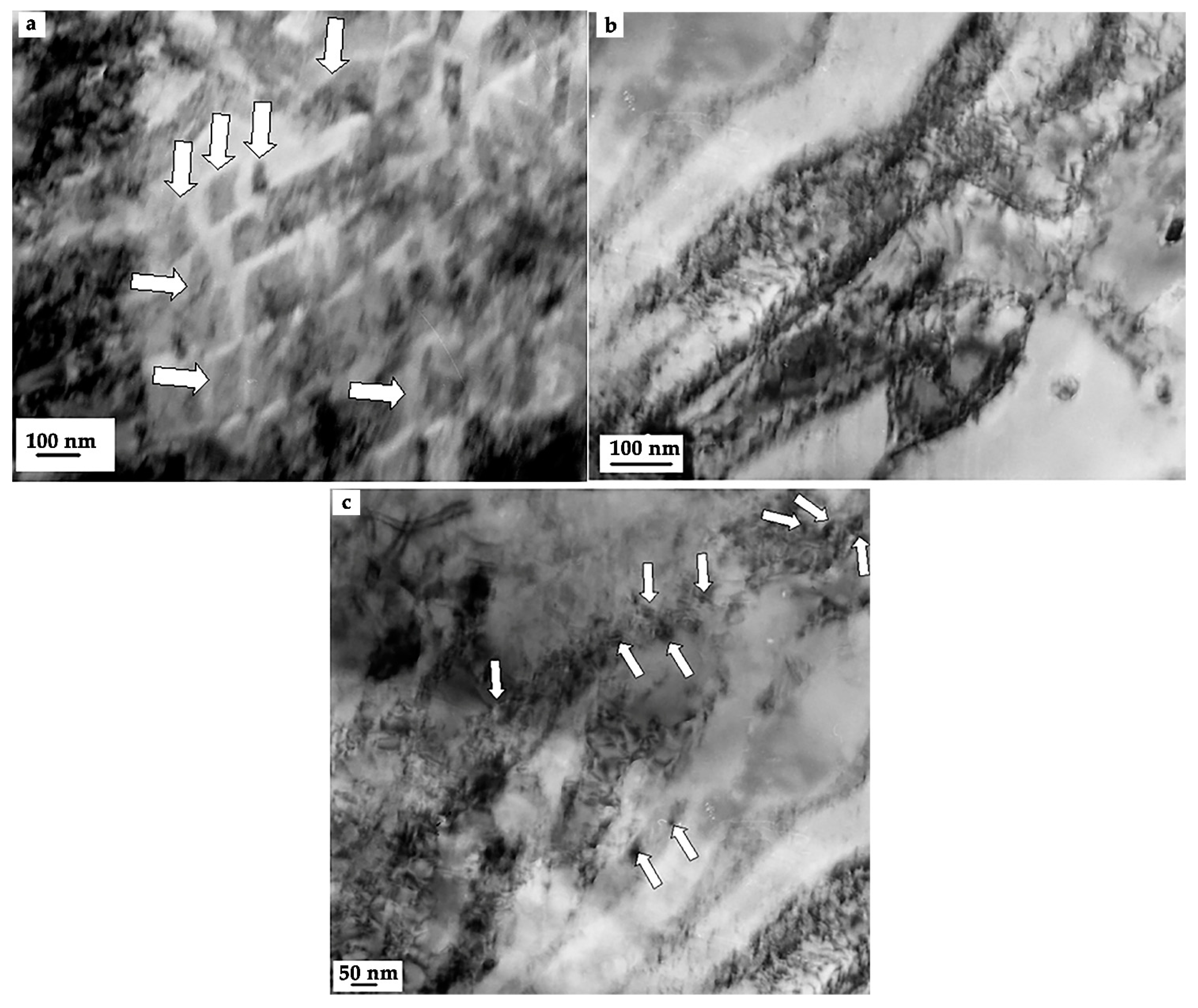 Metals 14 00009 g003