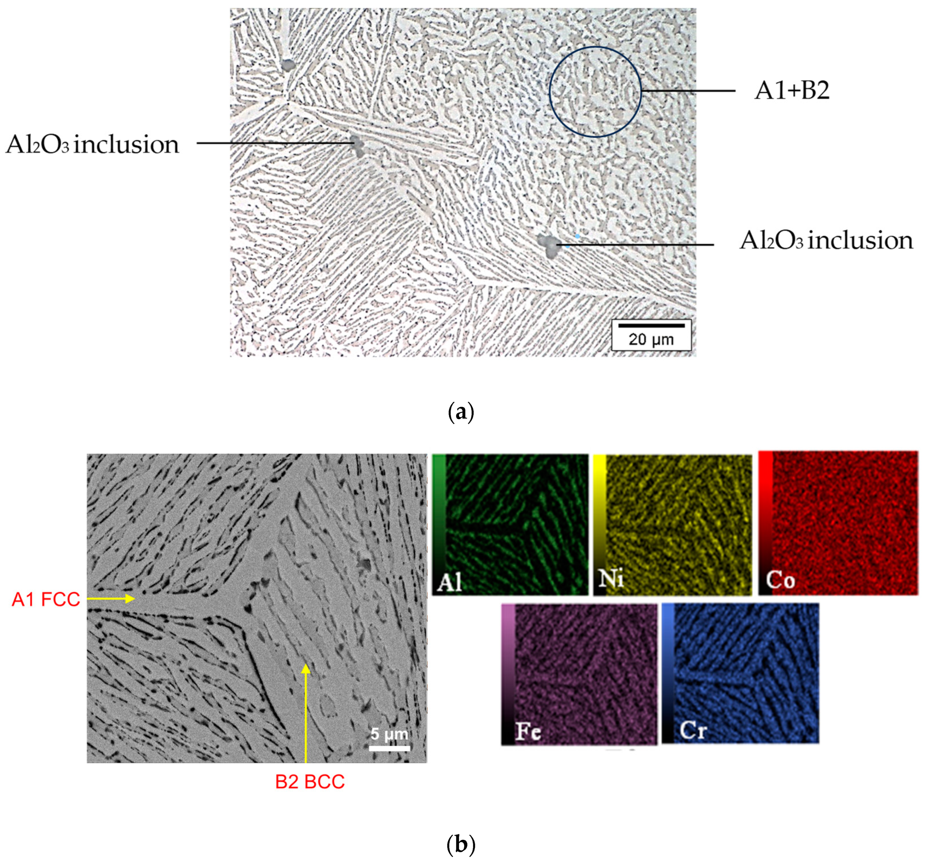 Metals 14 00033 g001