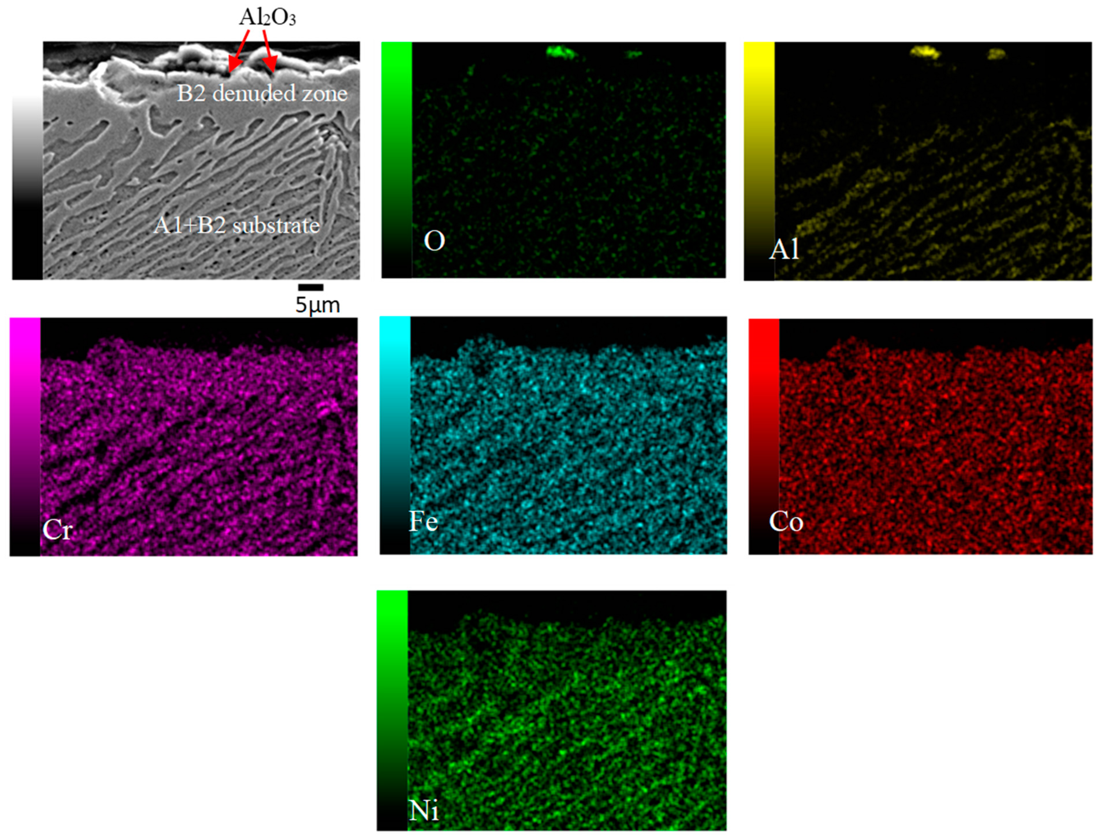 Metals 14 00033 g009