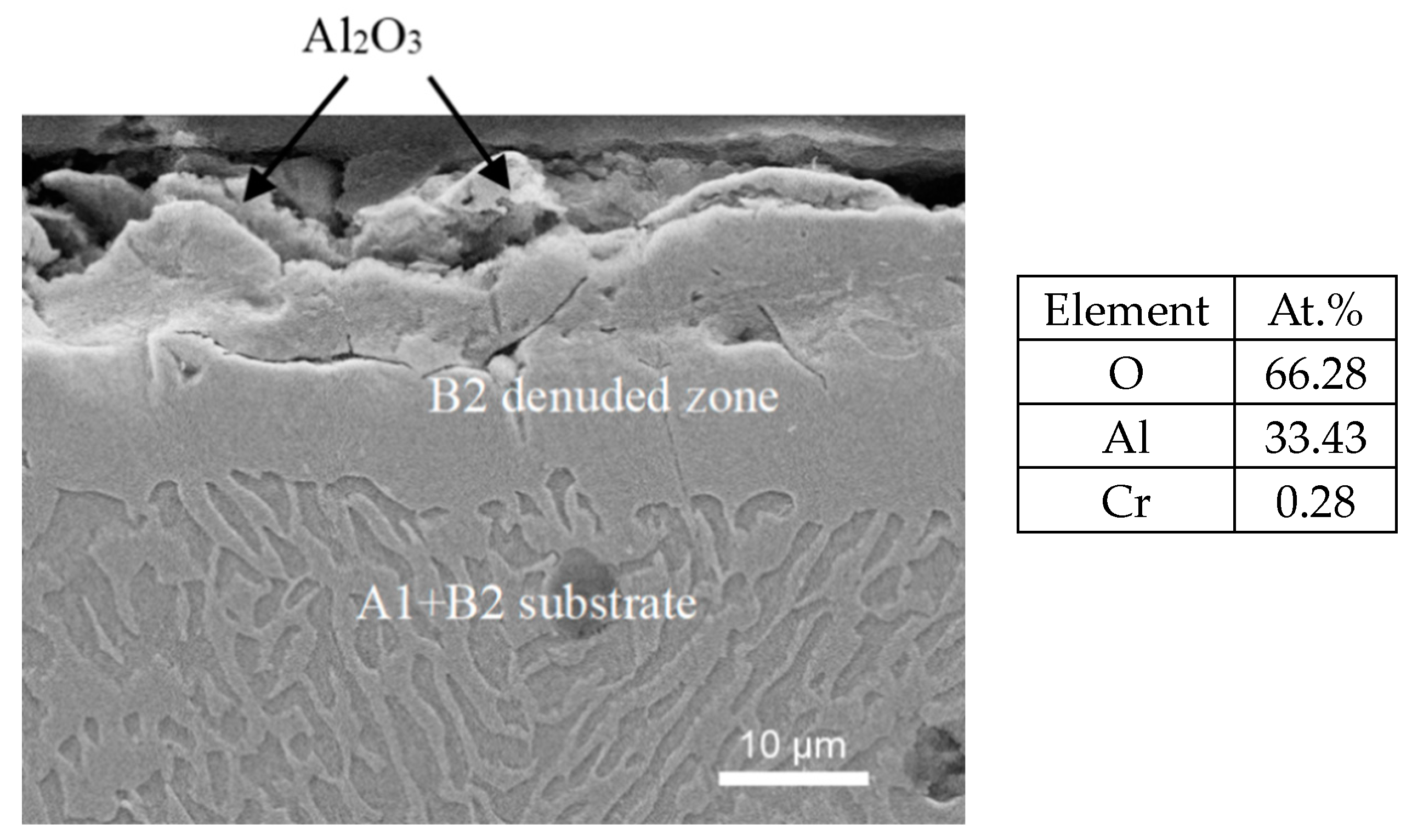 Metals 14 00033 g010