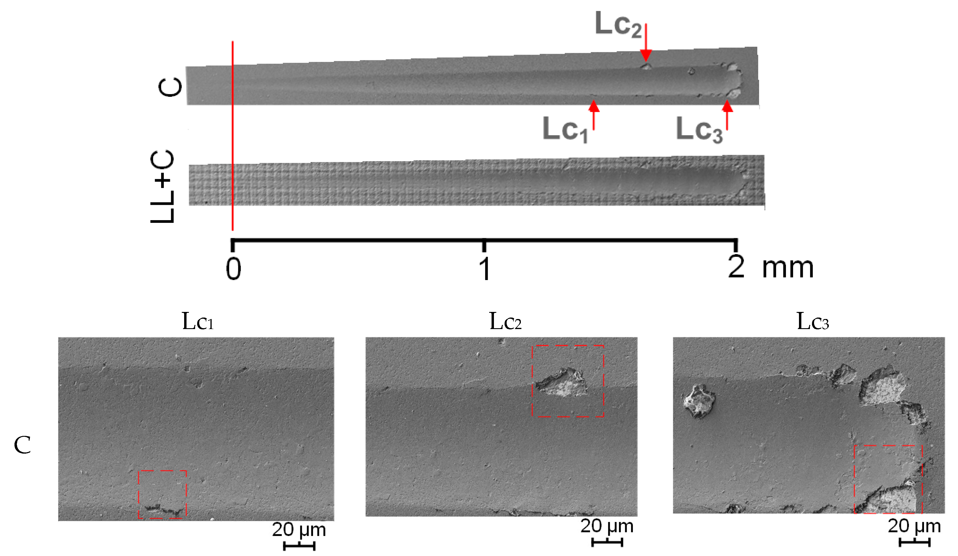 Metals 14 00034 g009