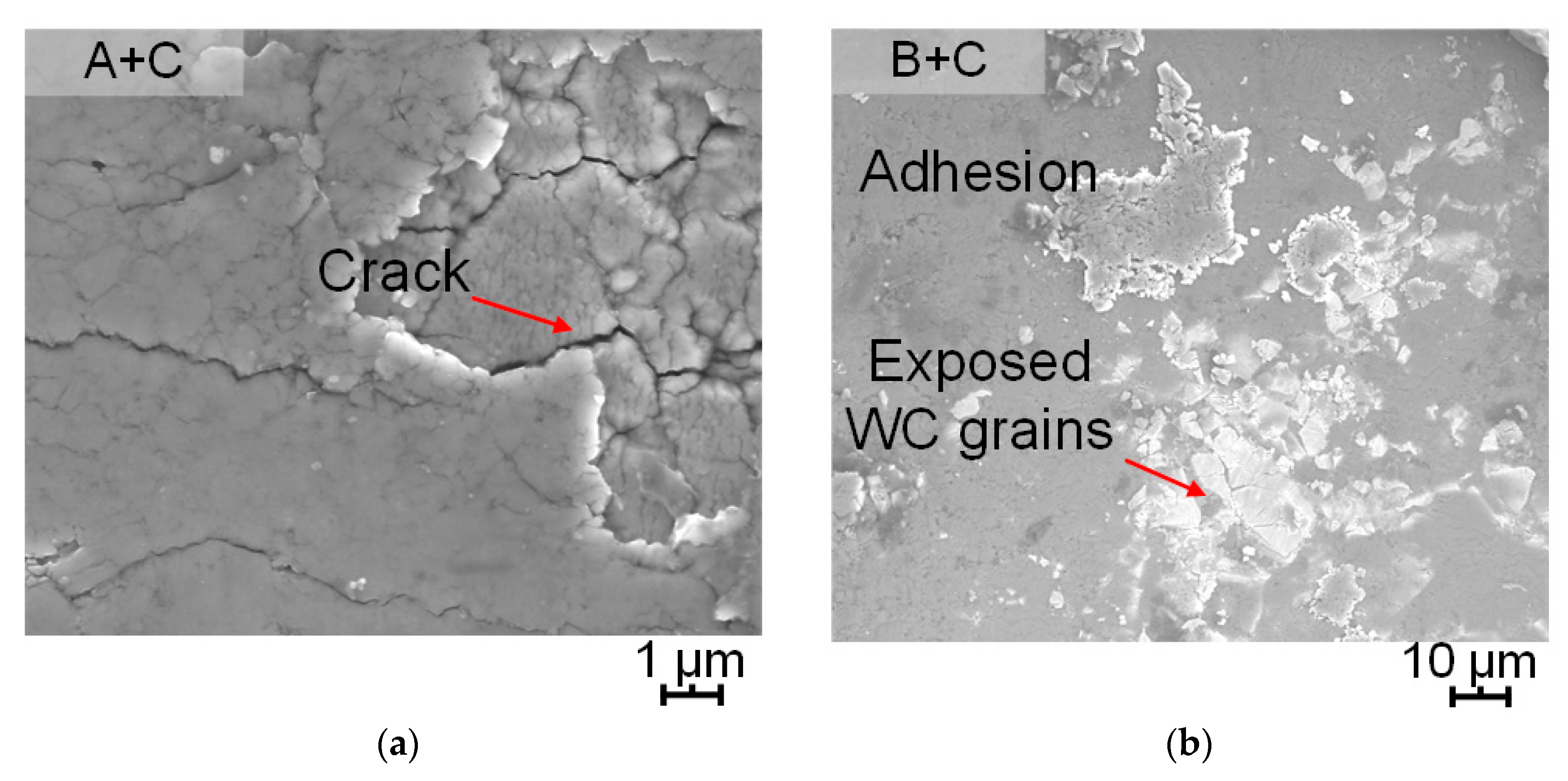Metals 14 00034 g010