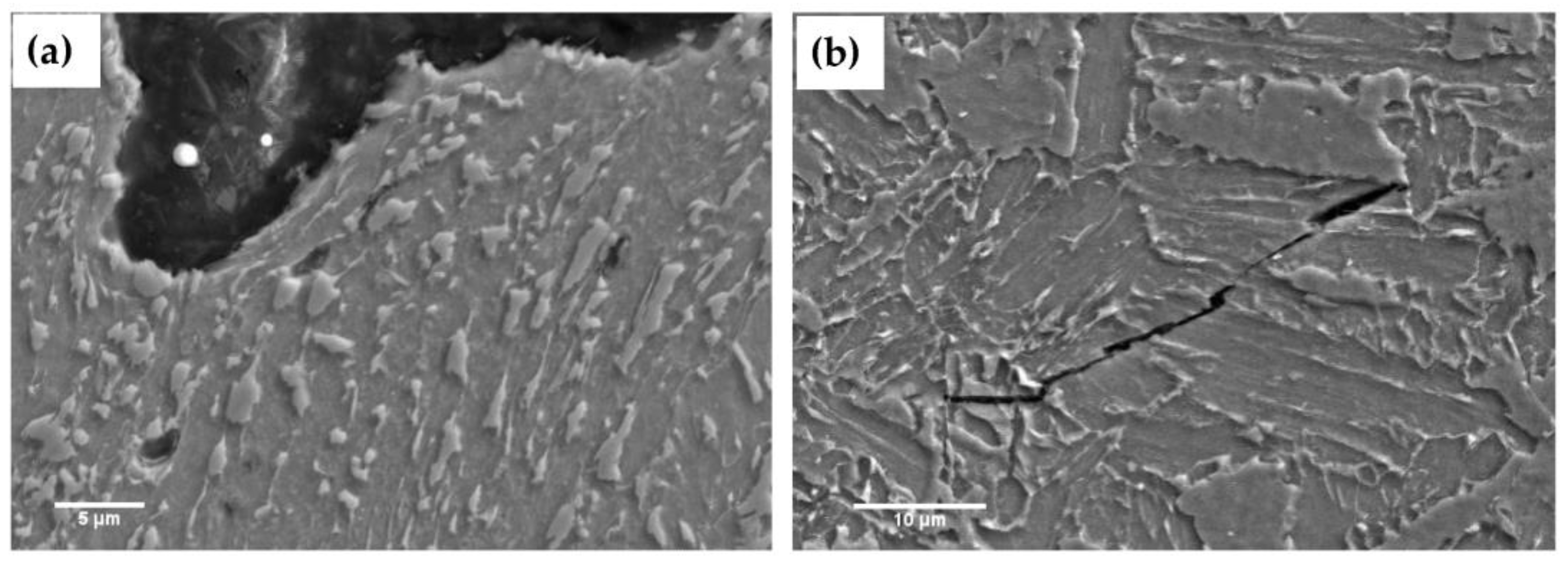 Metals 14 00042 g011