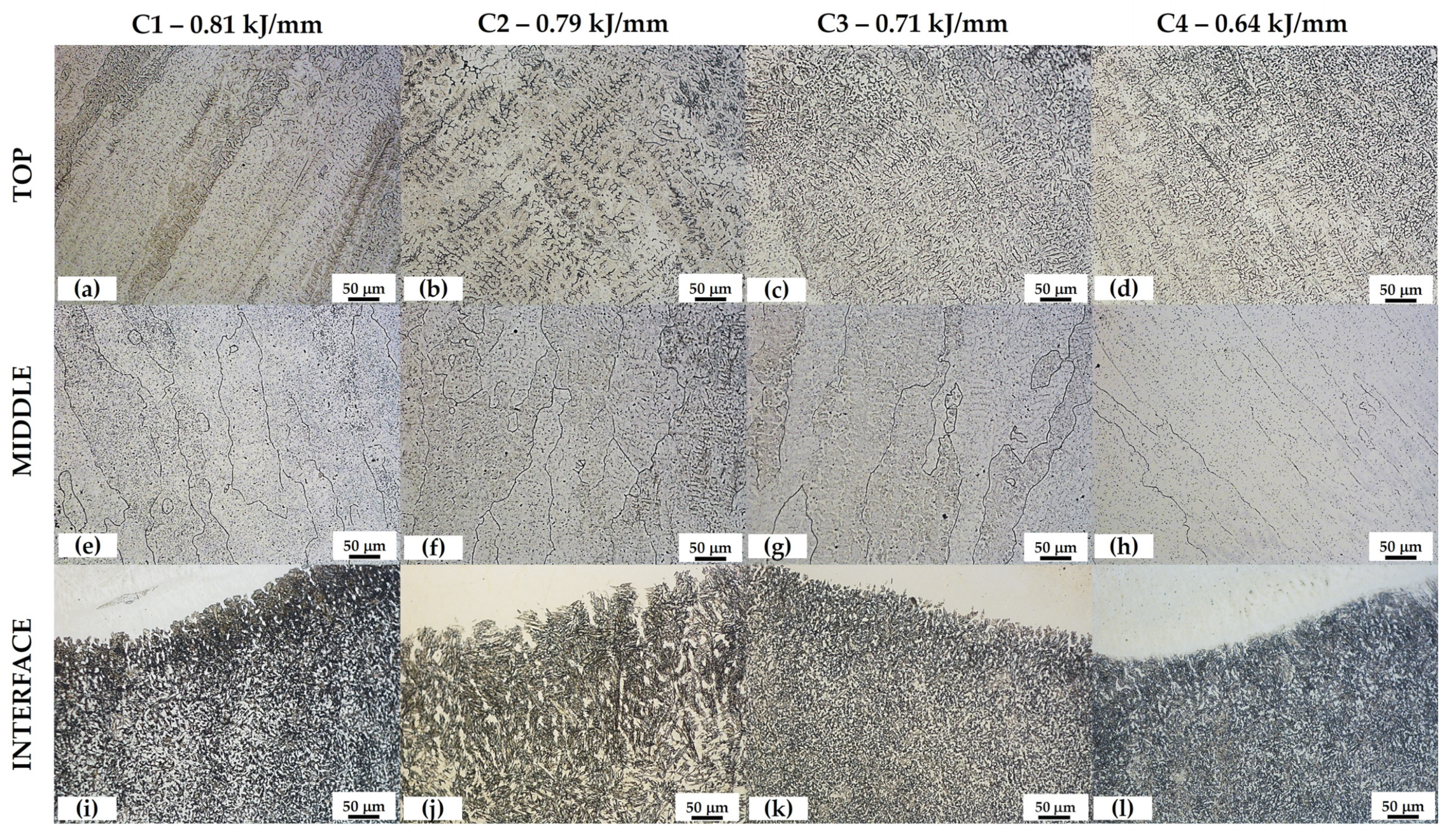 Metals 14 00043 g005