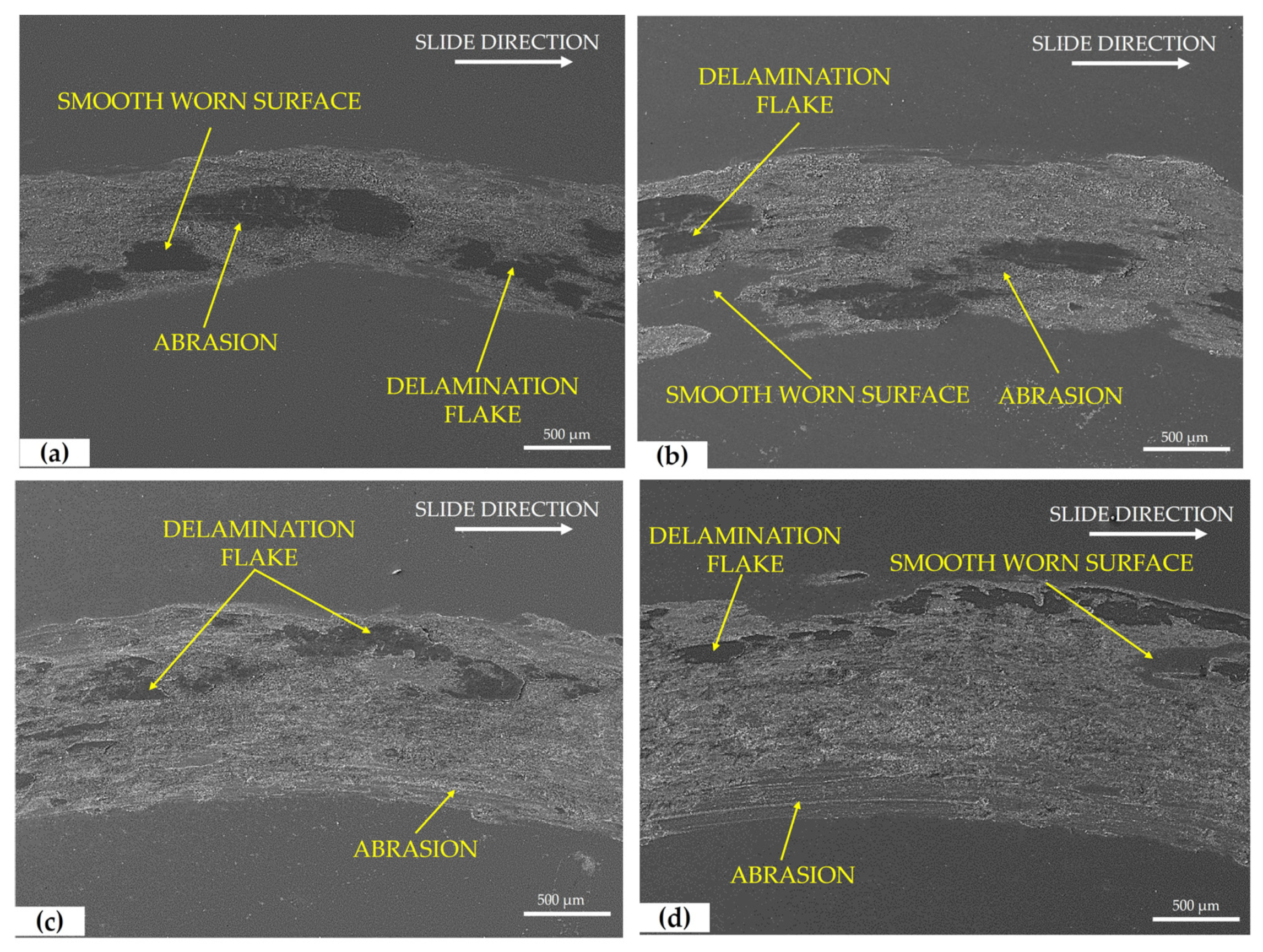 Metals 14 00043 g012