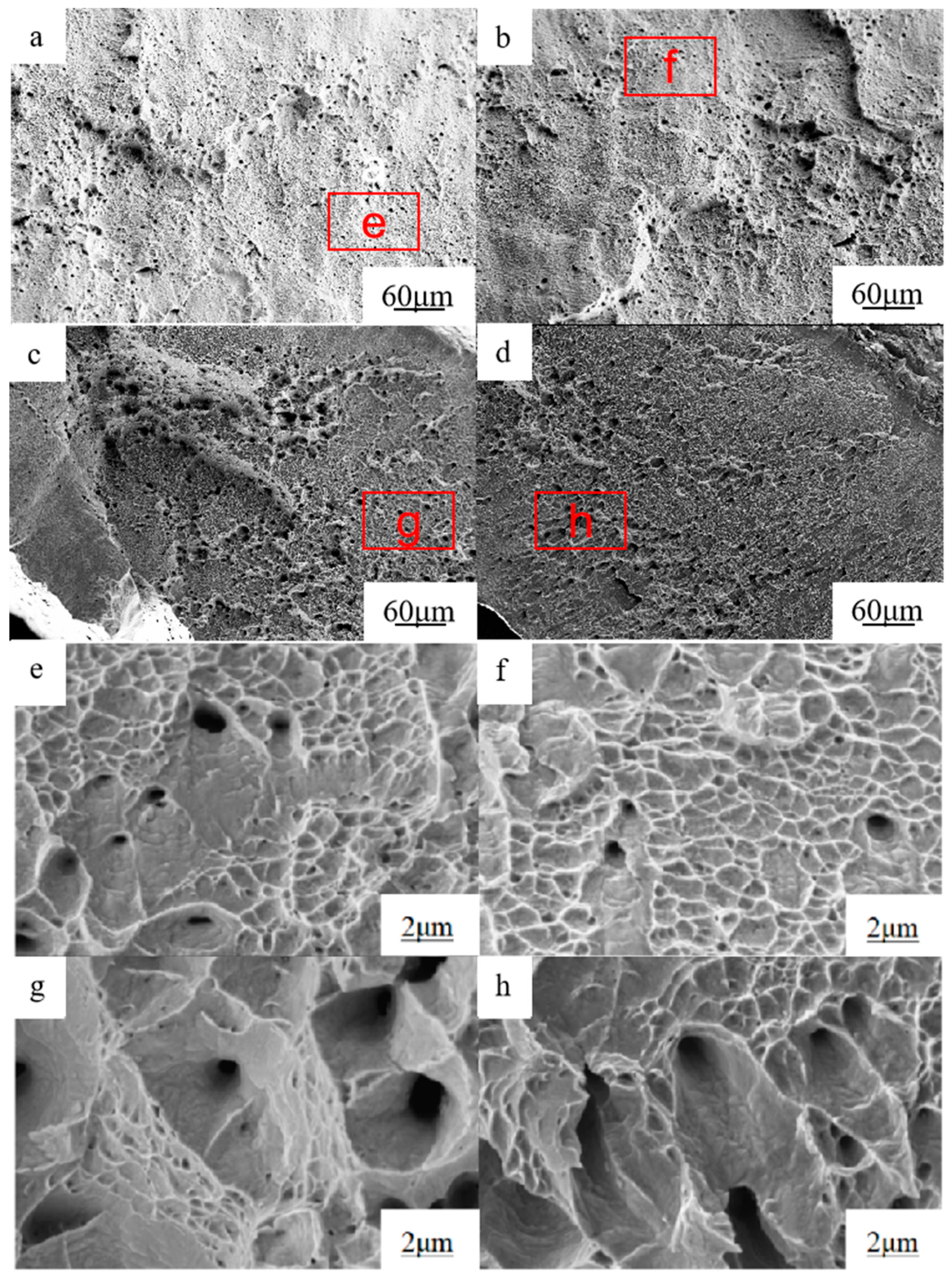Metals 14 00047 g006