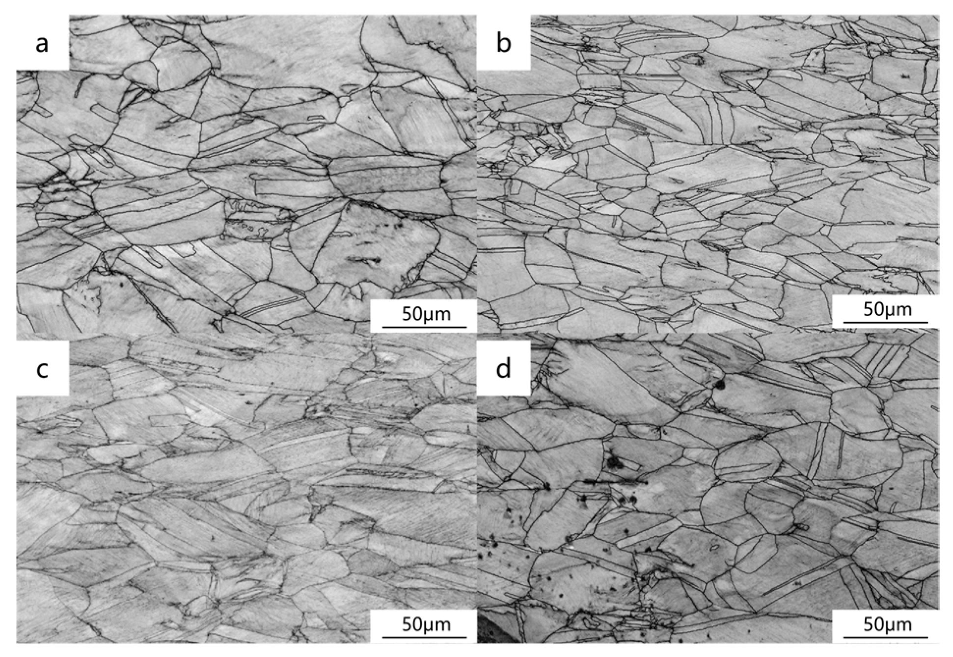 Metals 14 00047 g010