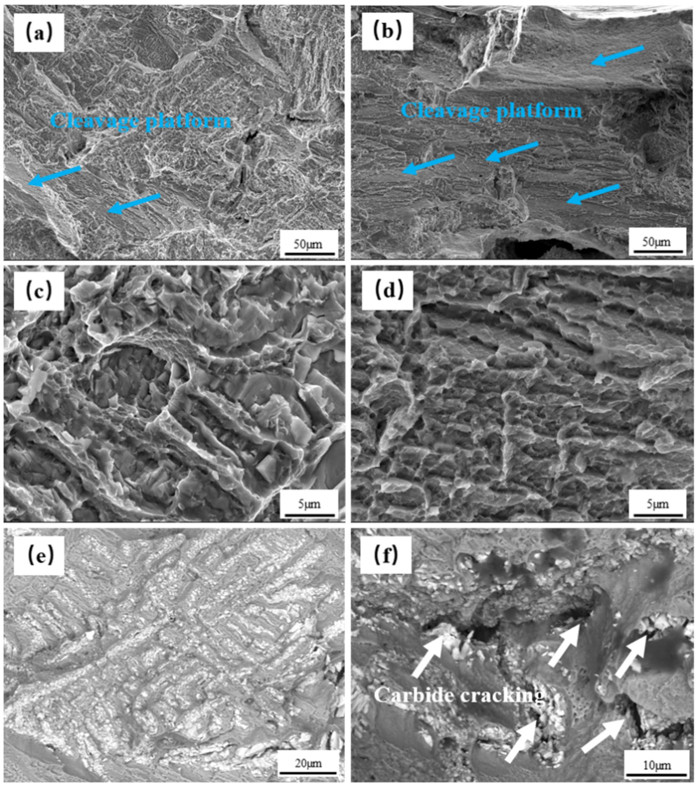 Metals 14 00057 g006