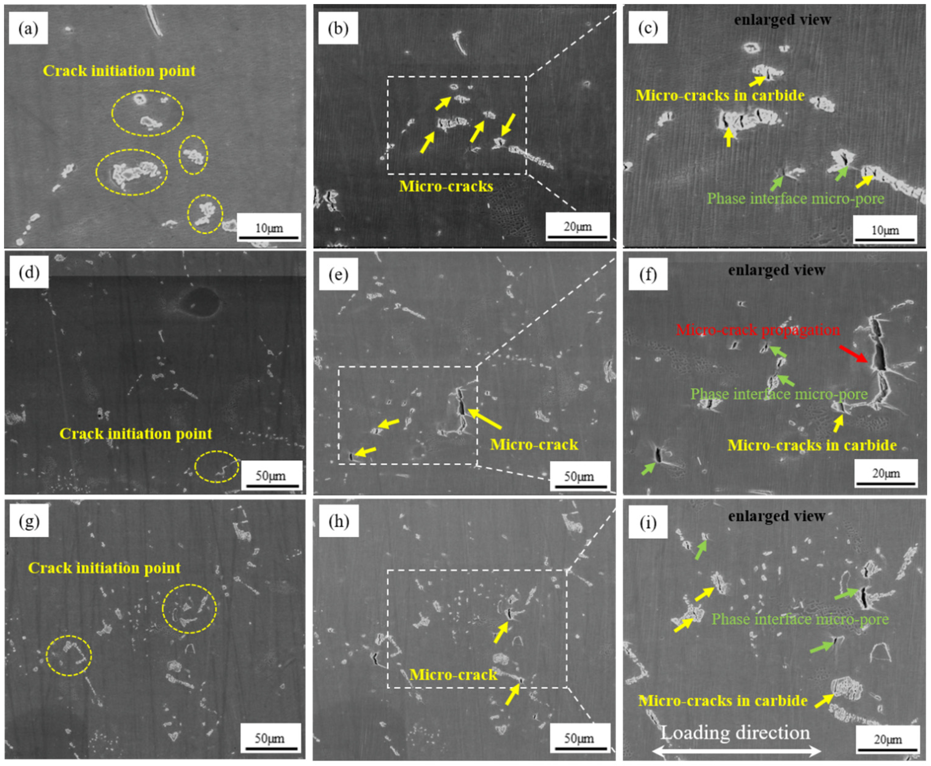 Metals 14 00057 g009