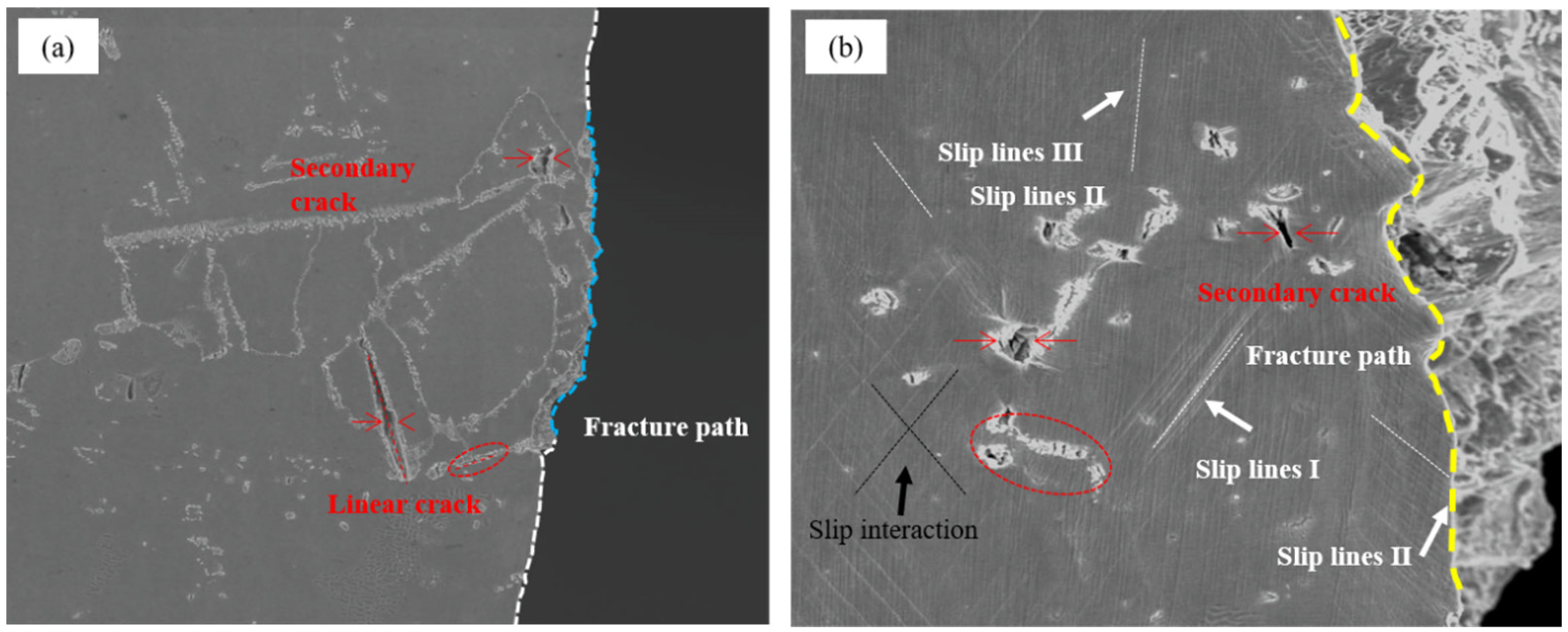 Metals 14 00057 g010