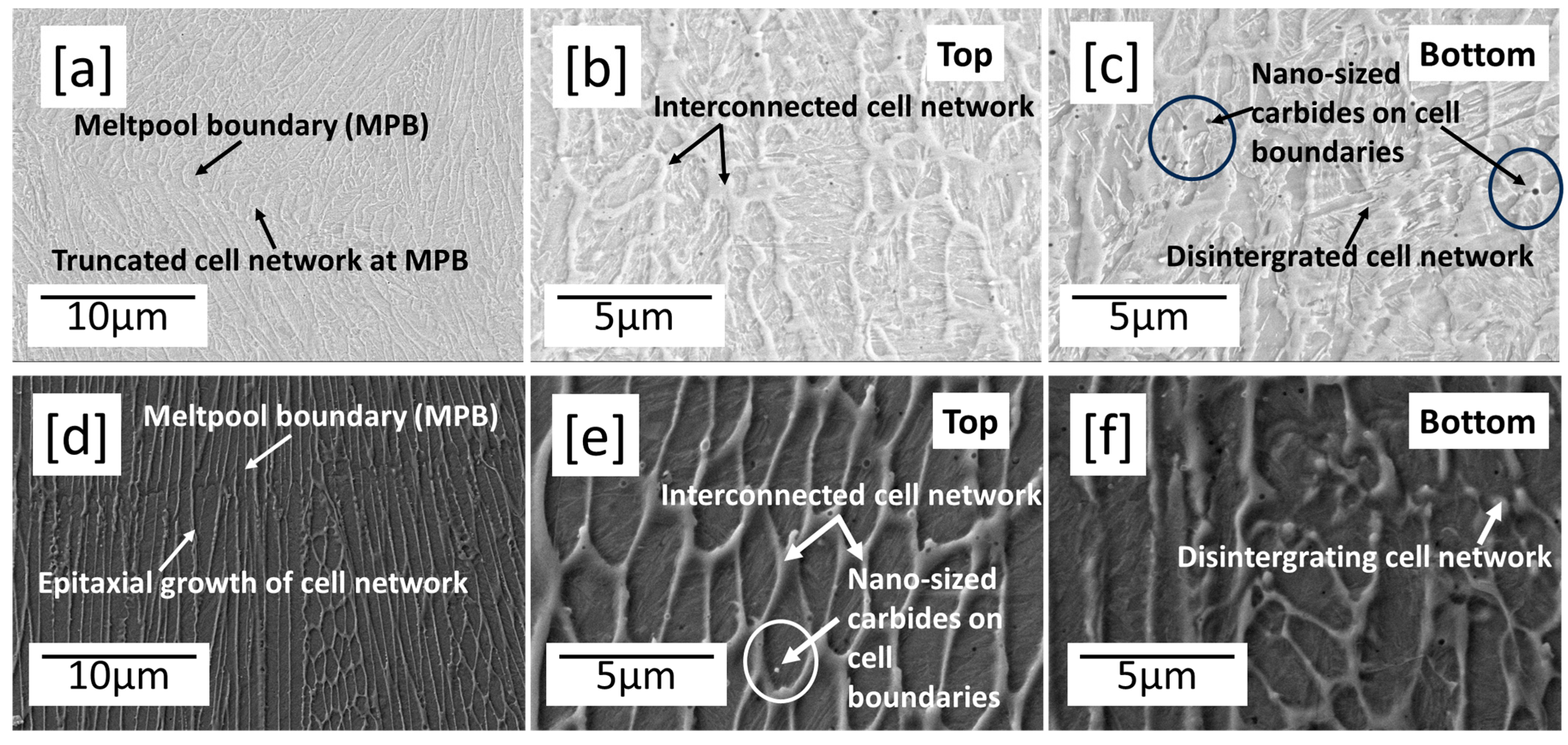 Metals 14 00079 g006