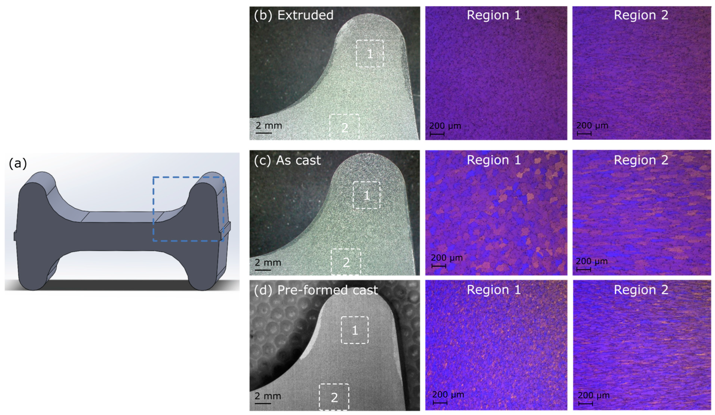 Metals 14 00090 g006