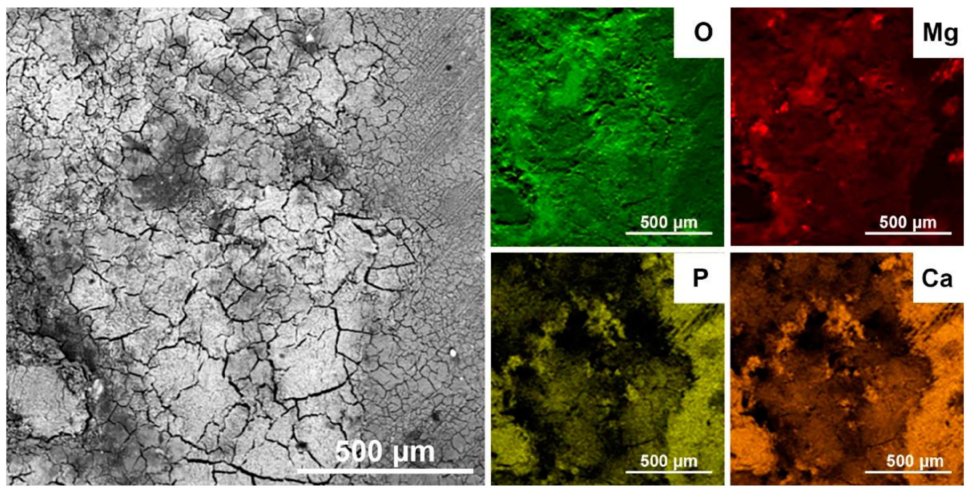 Metals 14 00096 g009