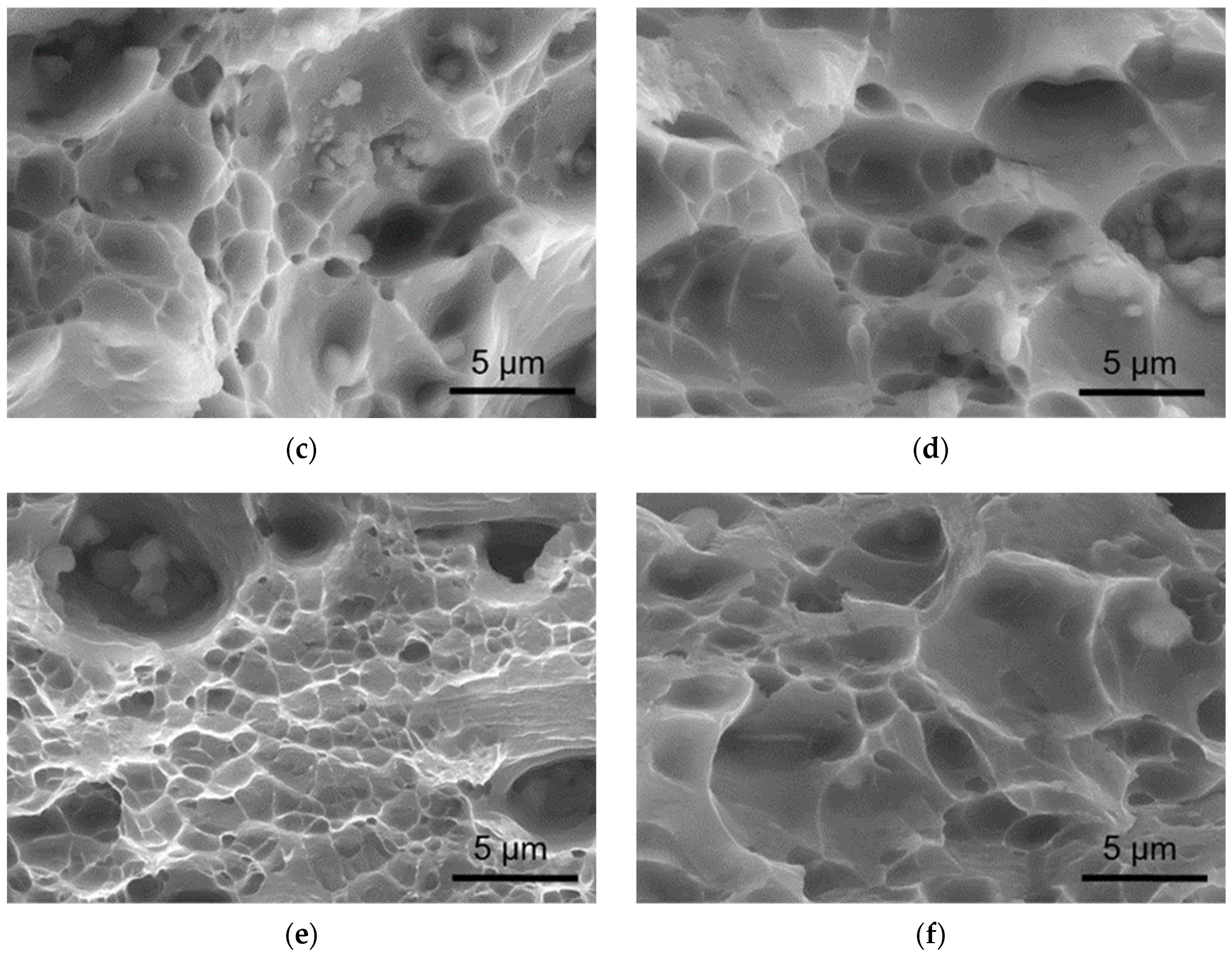 Metals 14 00098 g010b