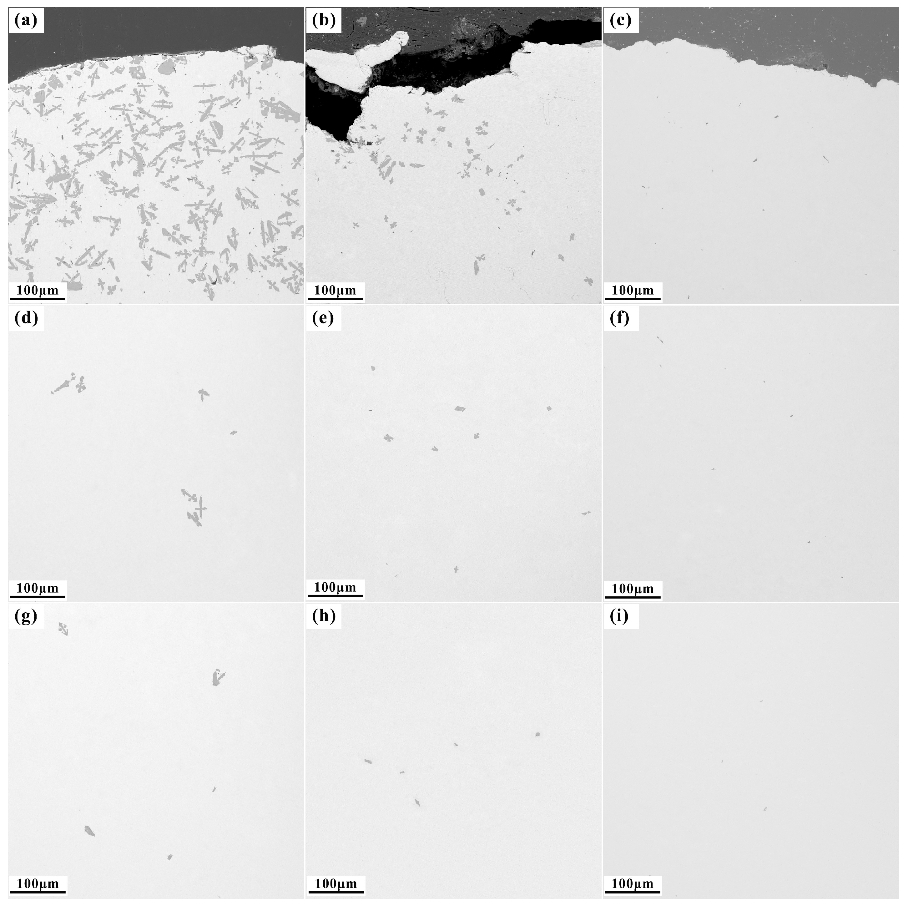 Metals 14 00100 g013