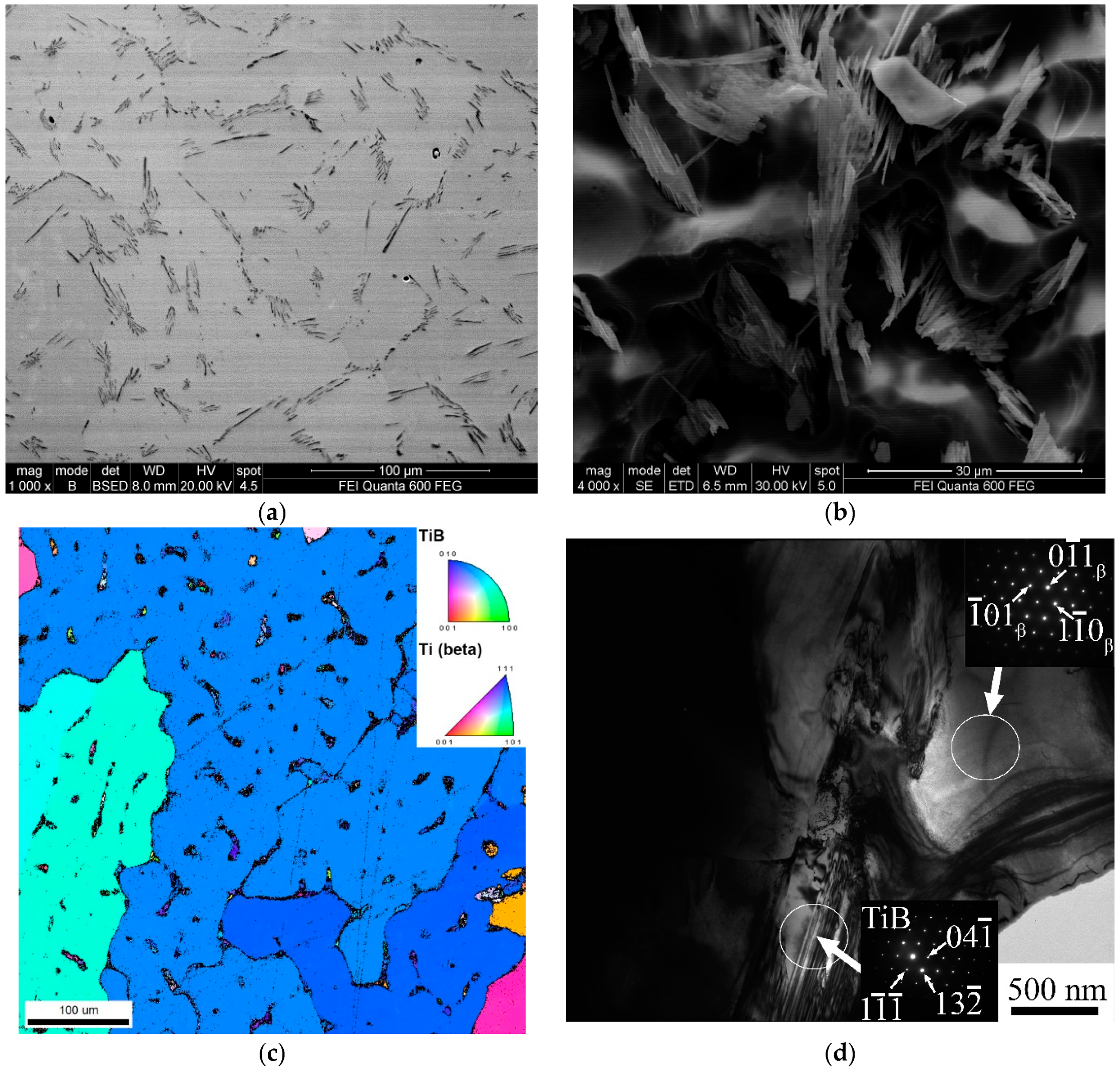 Metals 14 00104 g002