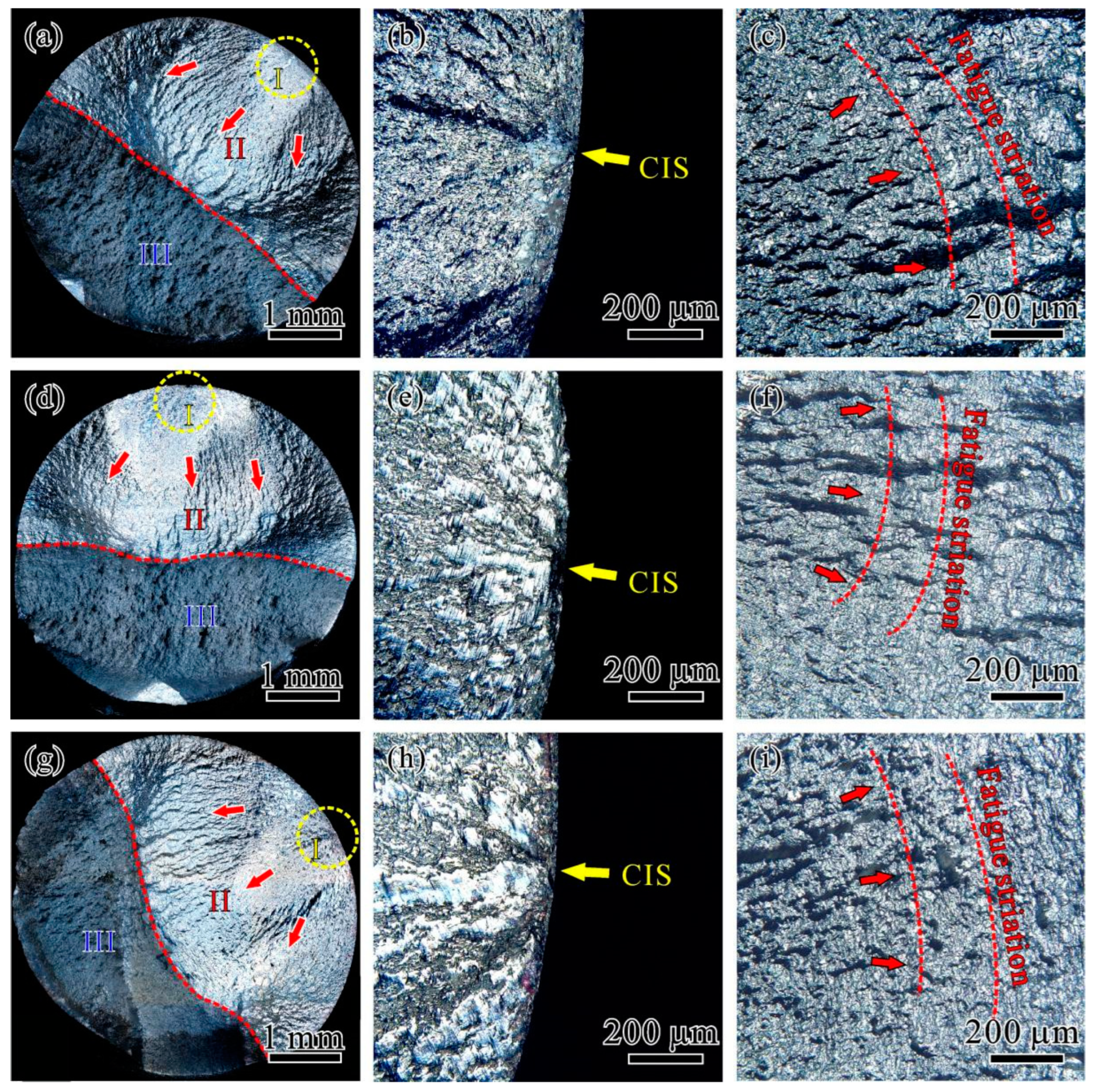 Metals 14 00110 g005