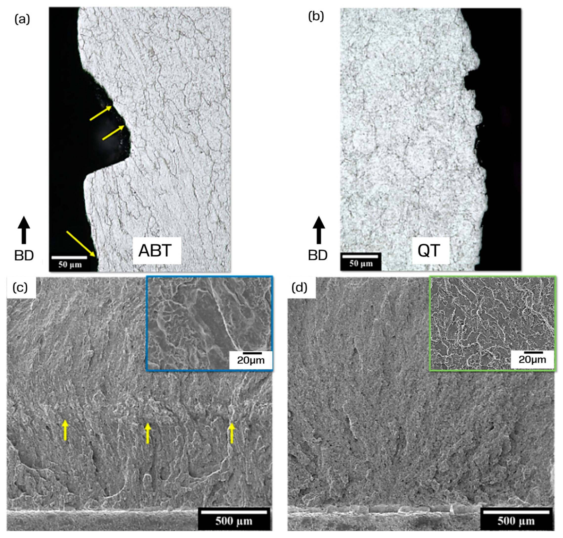 Metals 14 00112 g010
