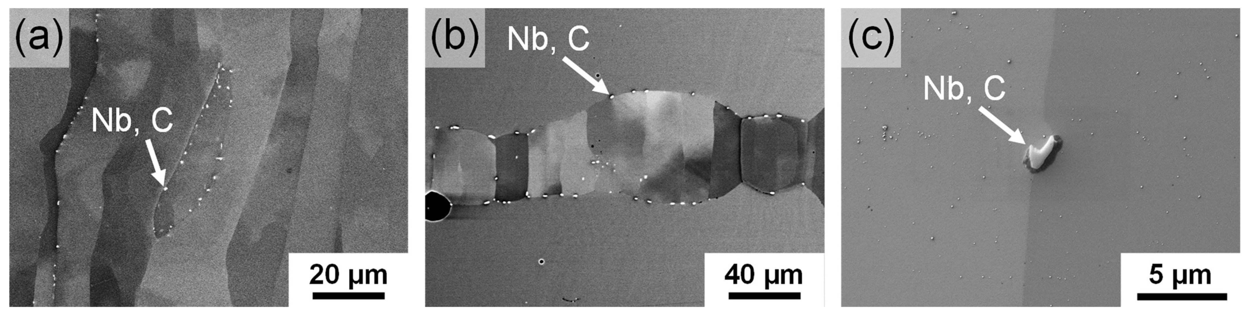 Metals 14 00117 g009